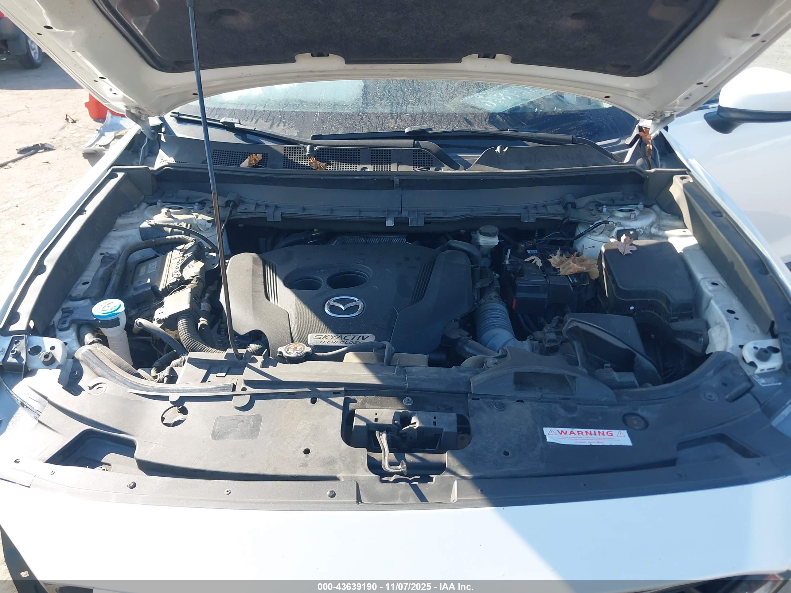 MAZDA CX-9 image 10