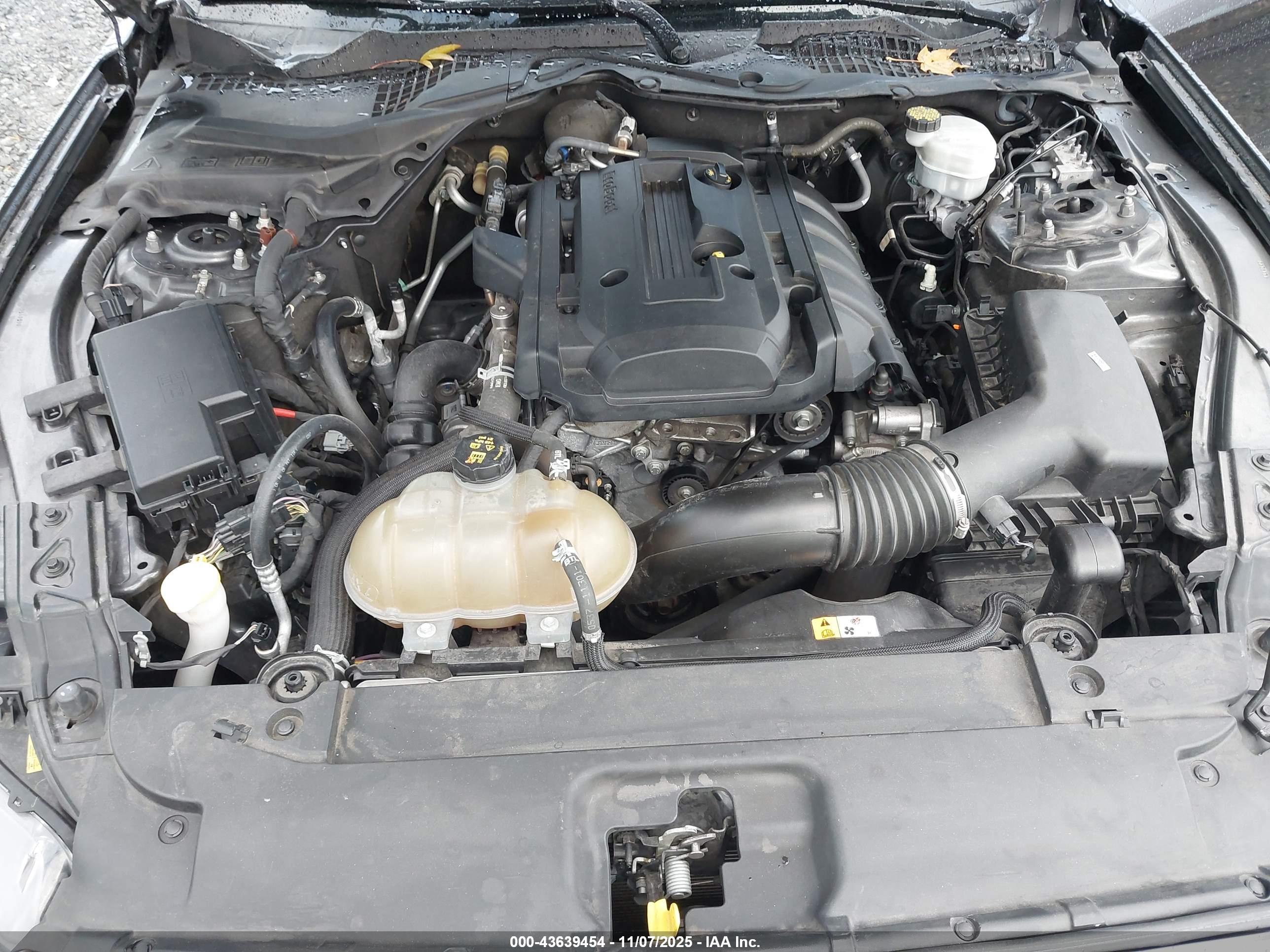 FORD MUSTANG image 10