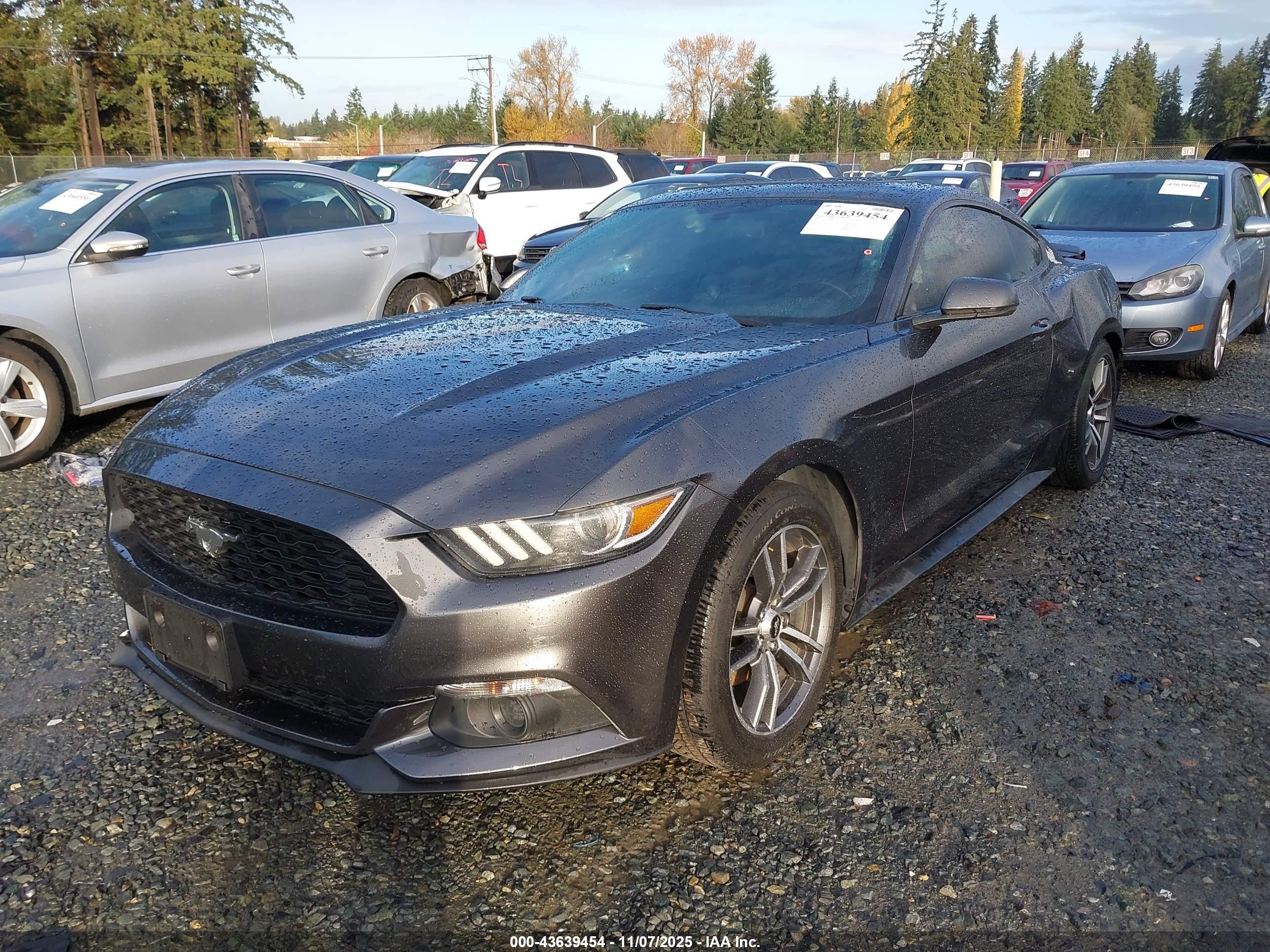 FORD MUSTANG image 2