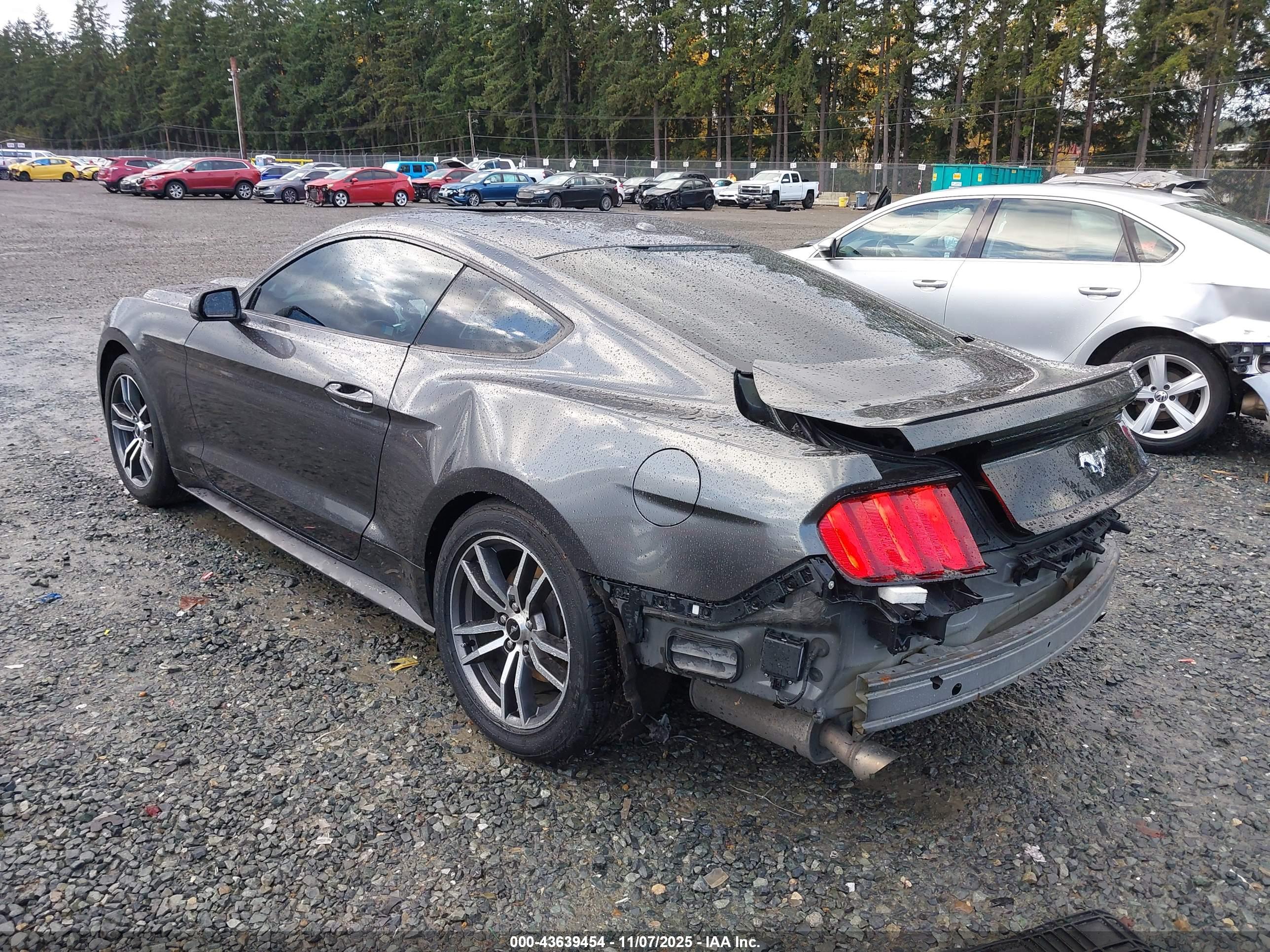 FORD MUSTANG image 3