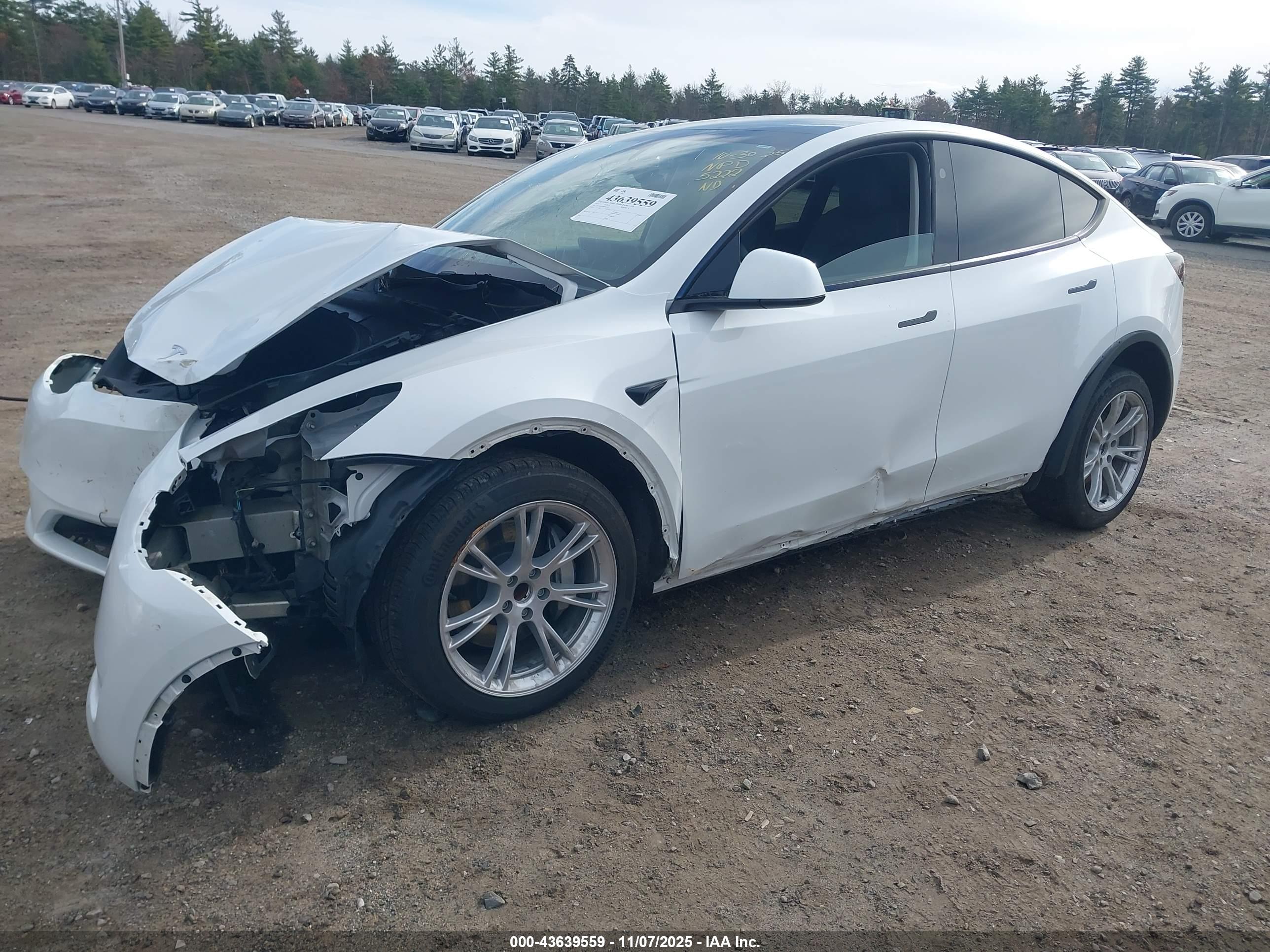 TESLA MODEL image 2