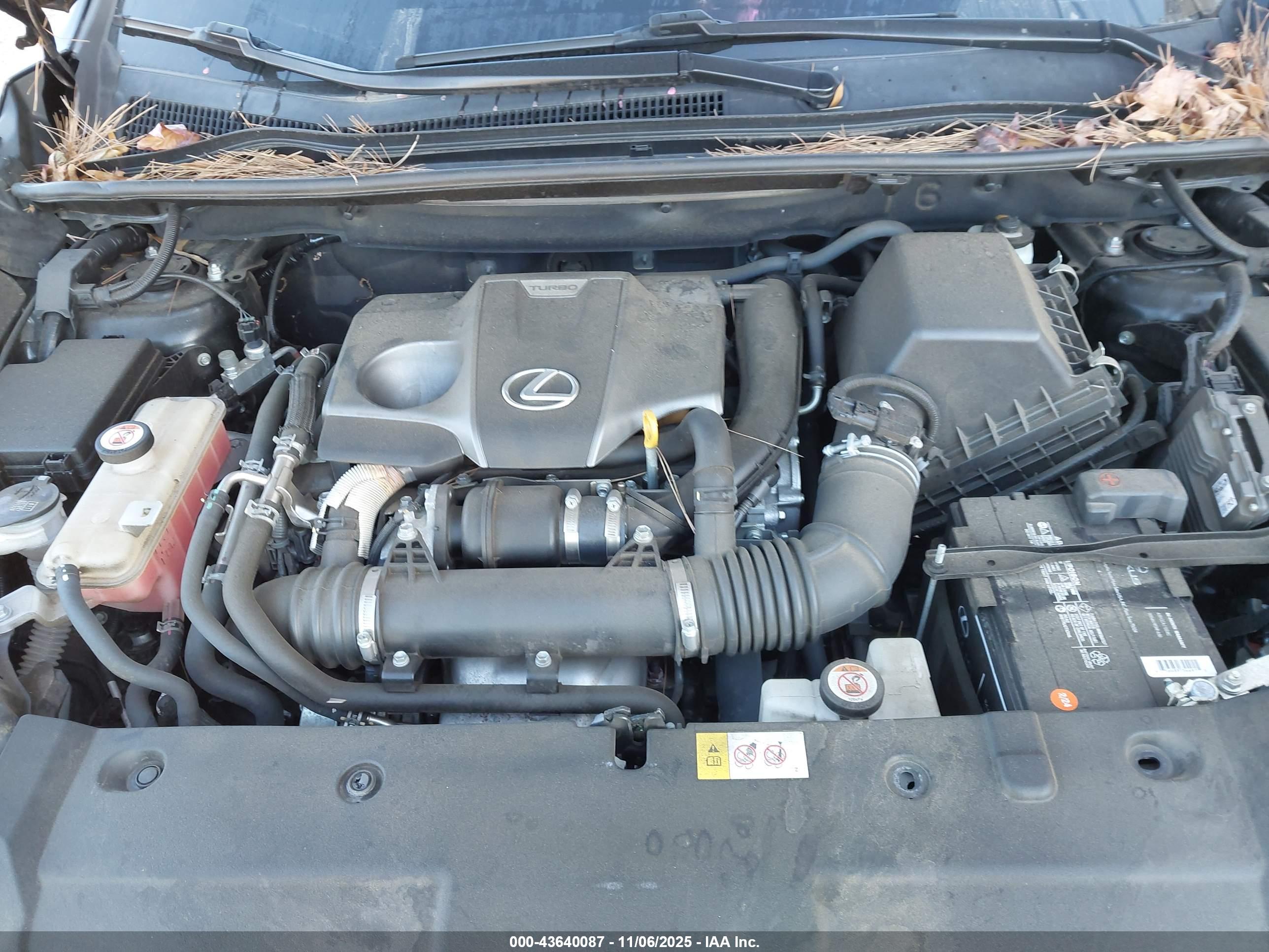 LEXUS NX image 10