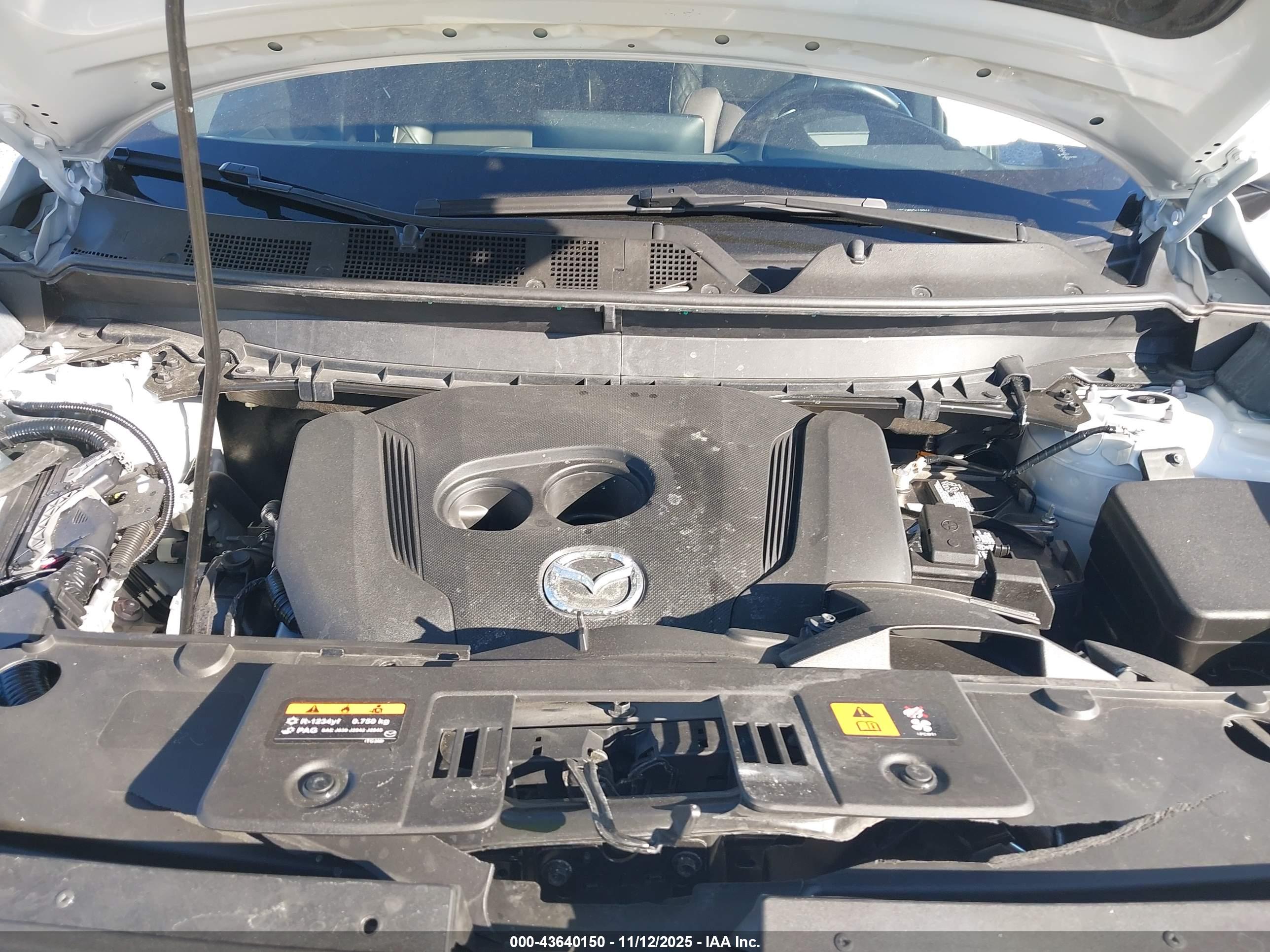 MAZDA CX-9 image 10