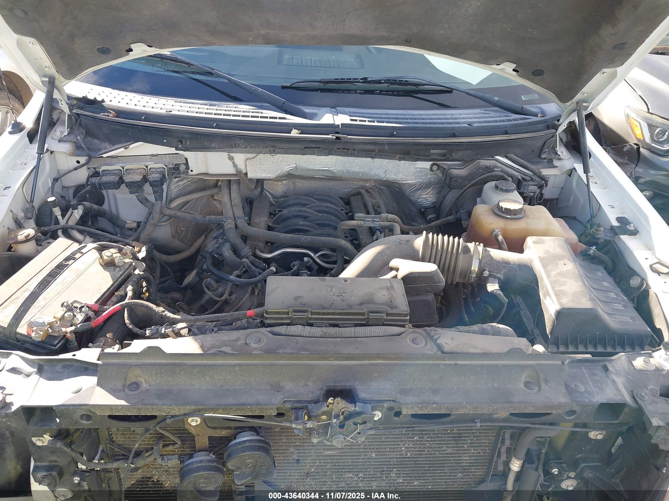FORD F-150 image 10