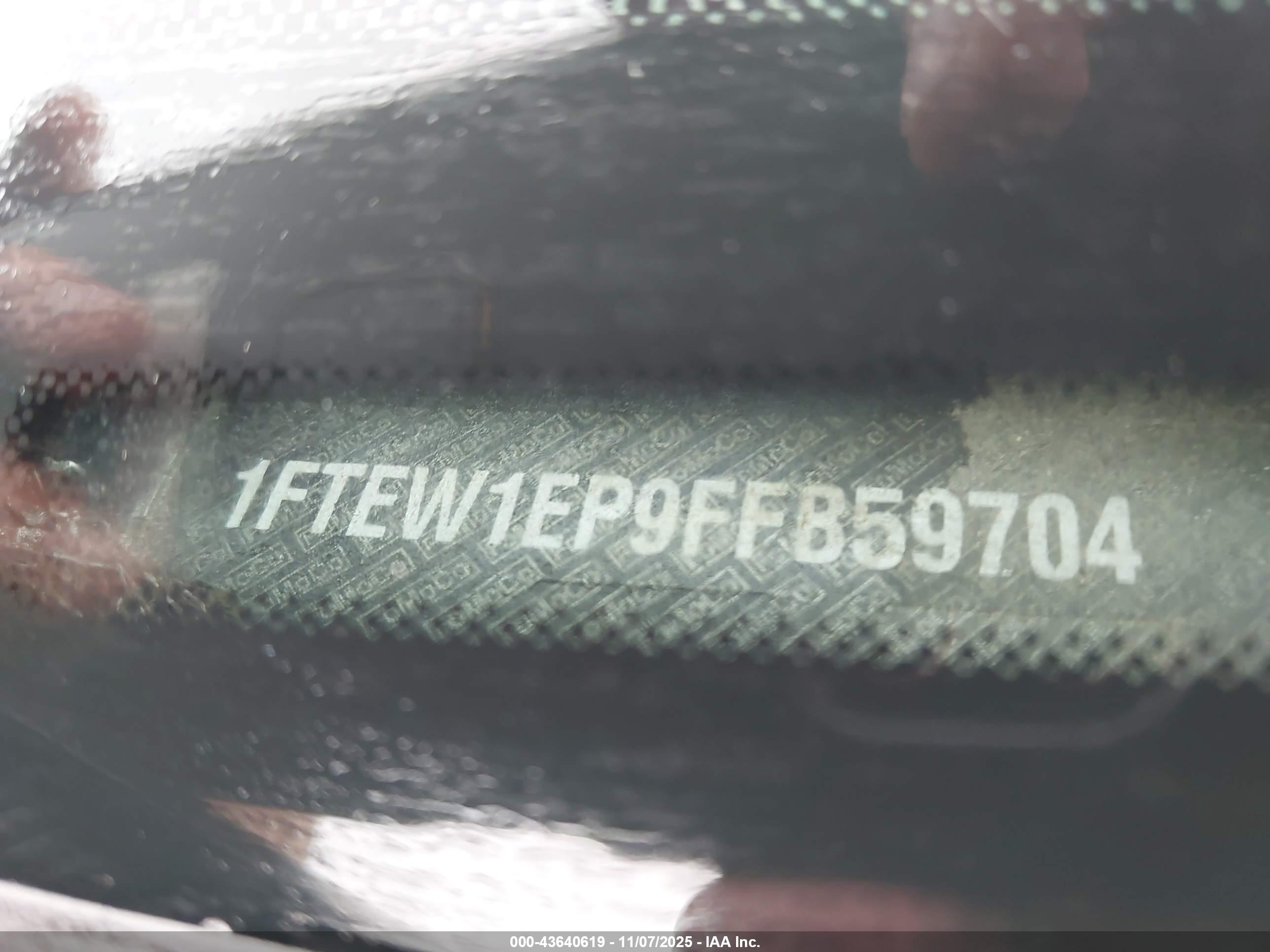 FORD F-150 image 9