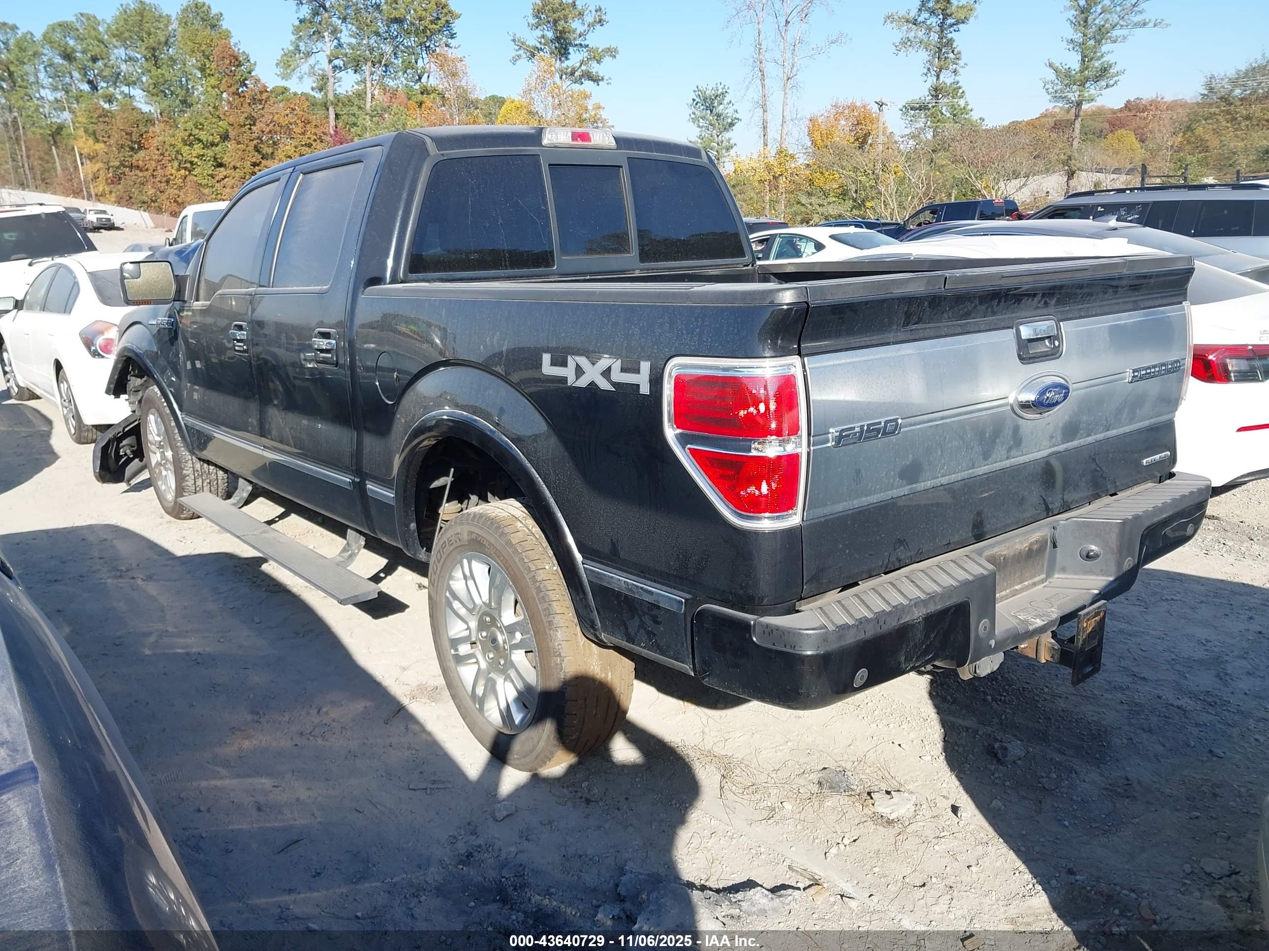 FORD F-150 image 3