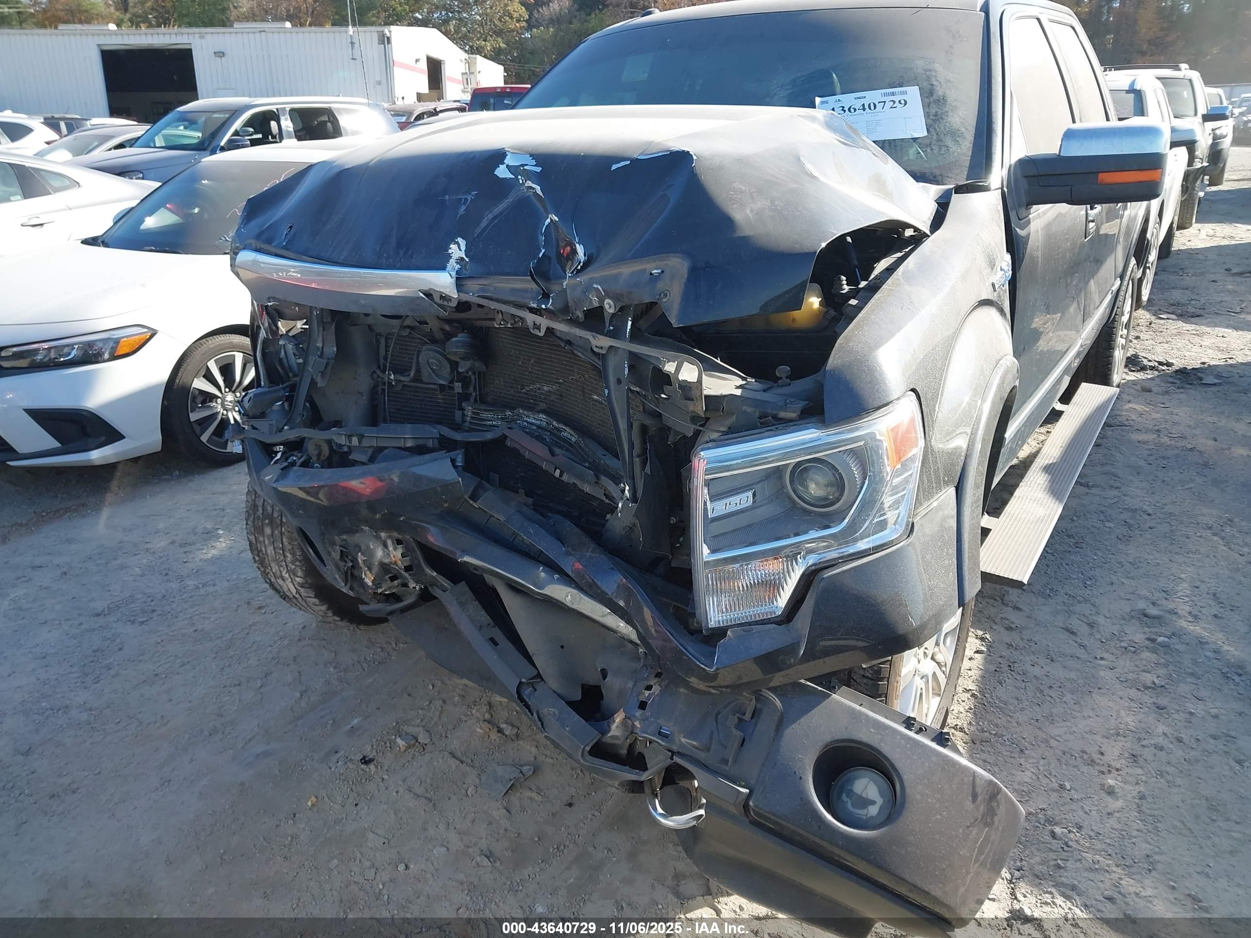 FORD F-150 image 6