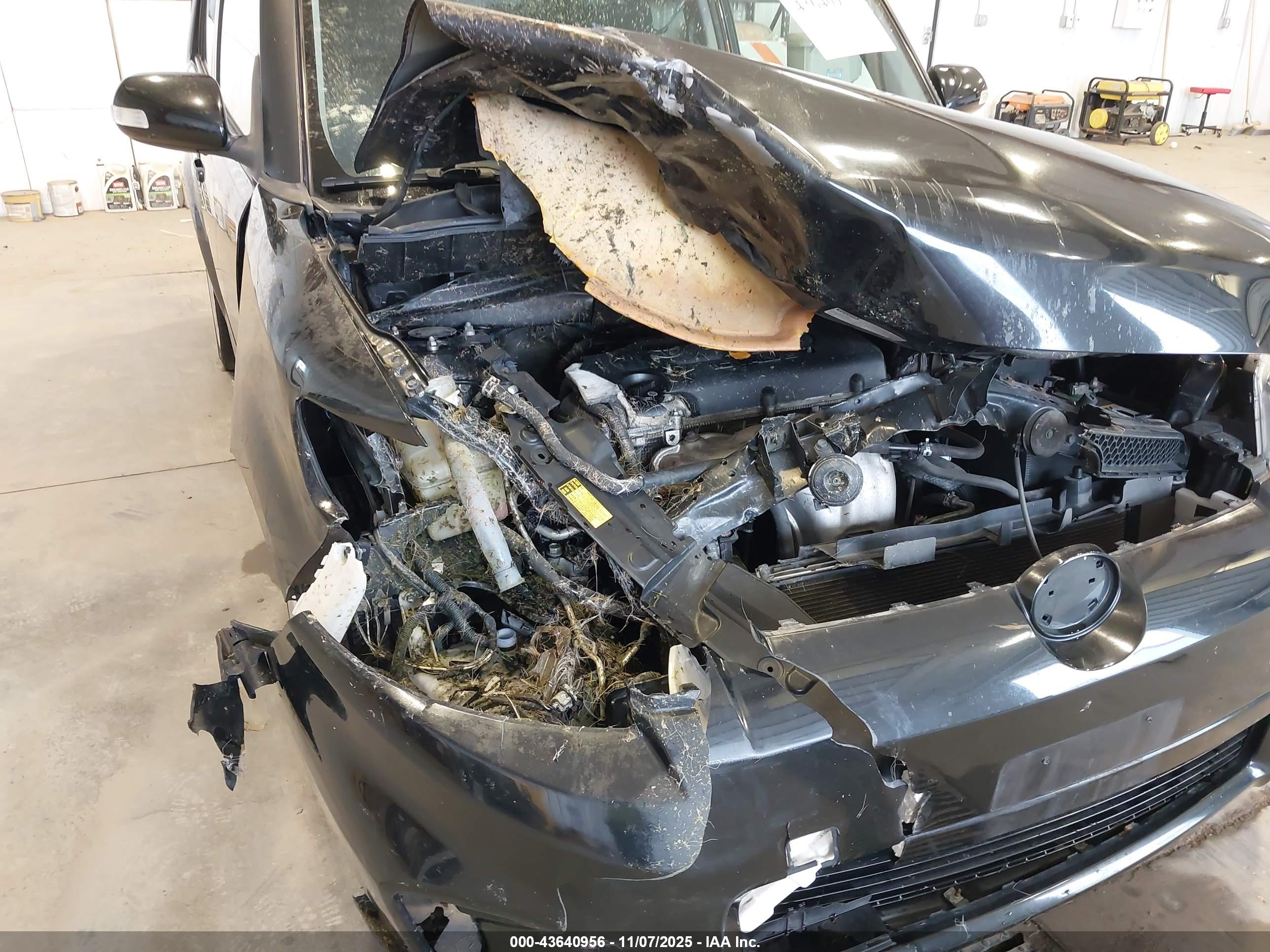 SCION XB image 6