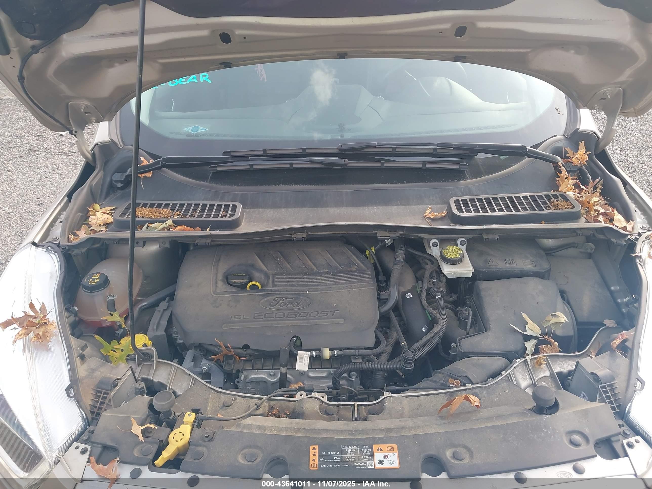 FORD ESCAPE image 10