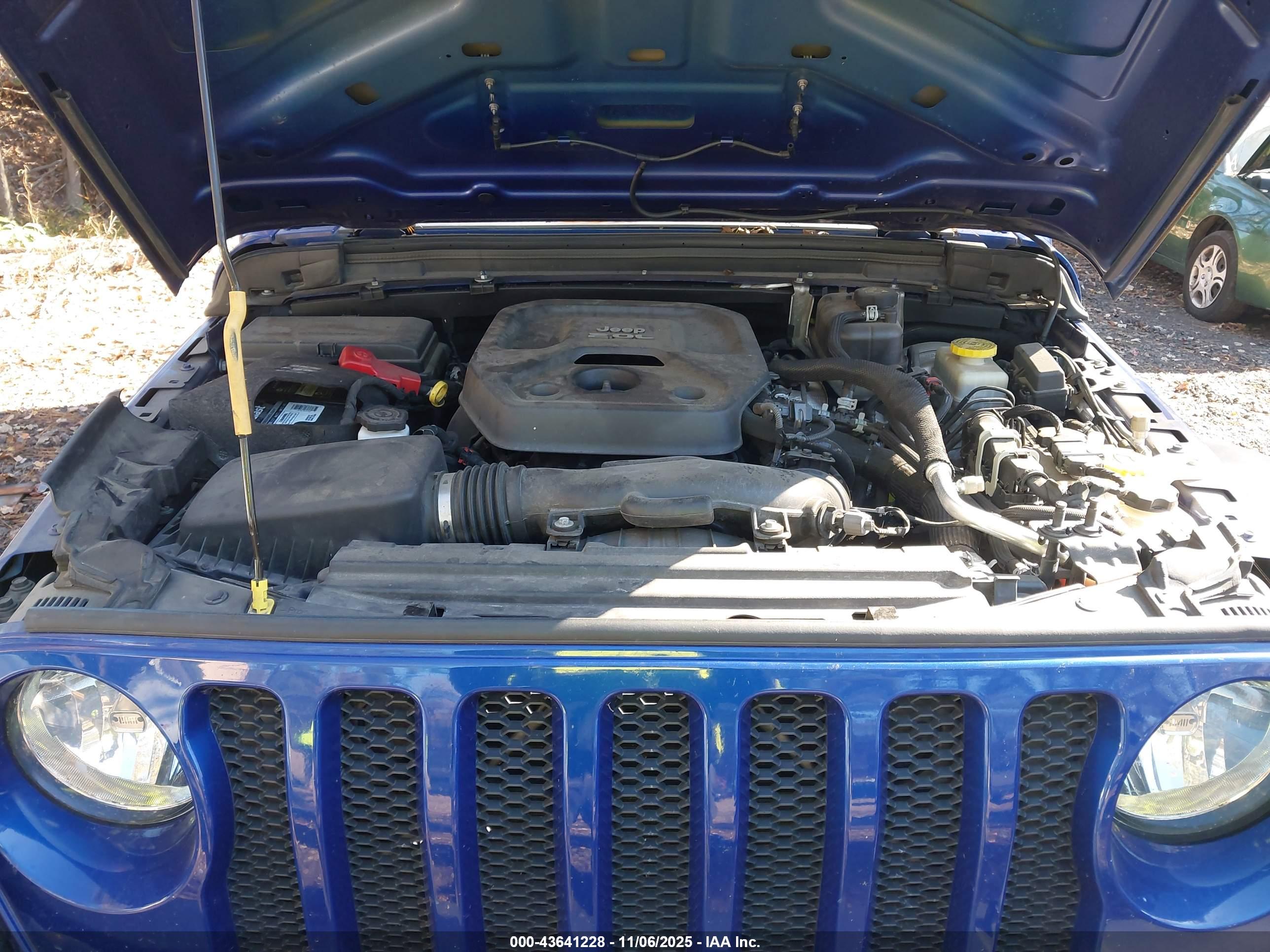 JEEP WRANGLER image 10
