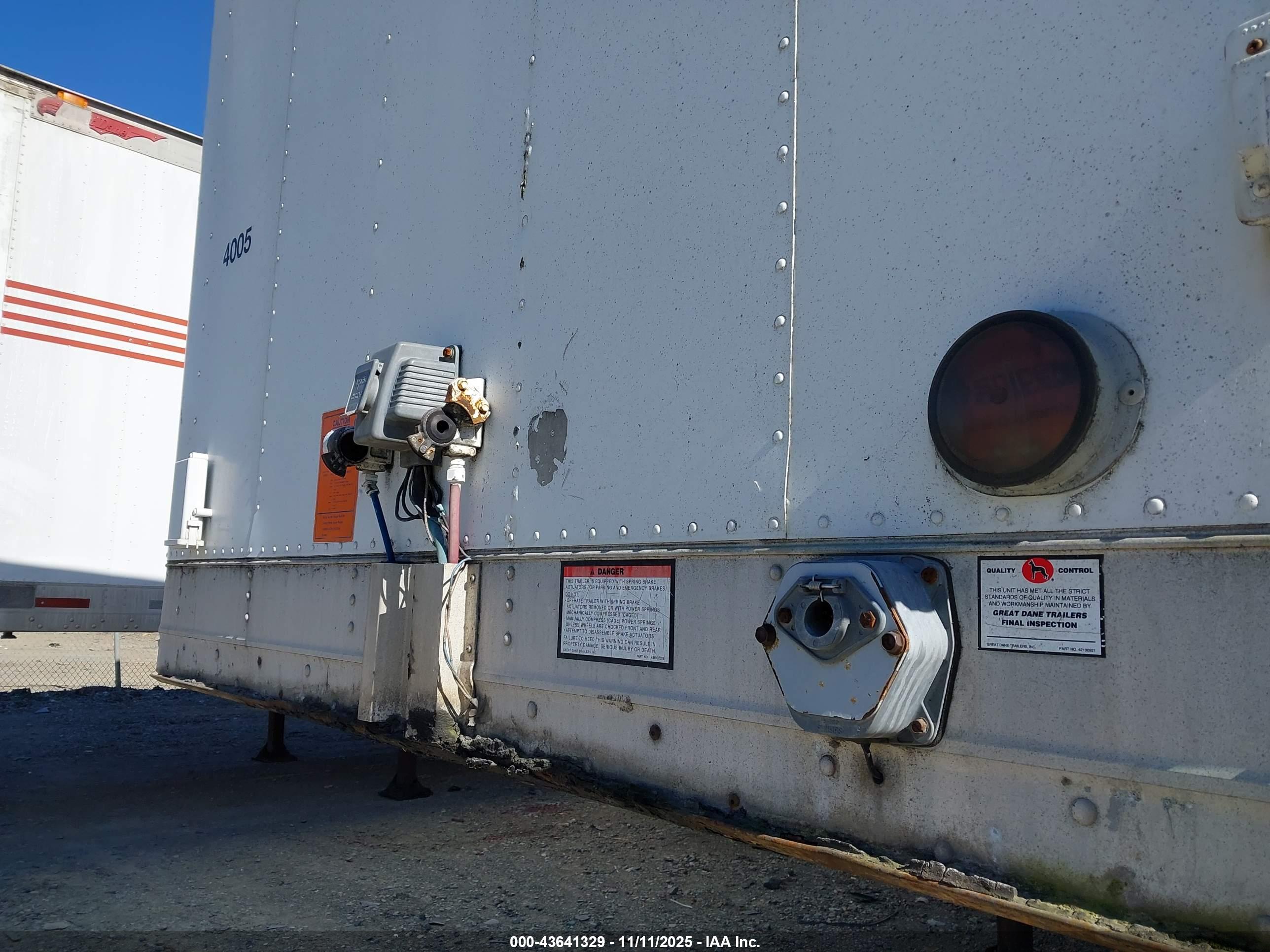 GREAT DANE image 7