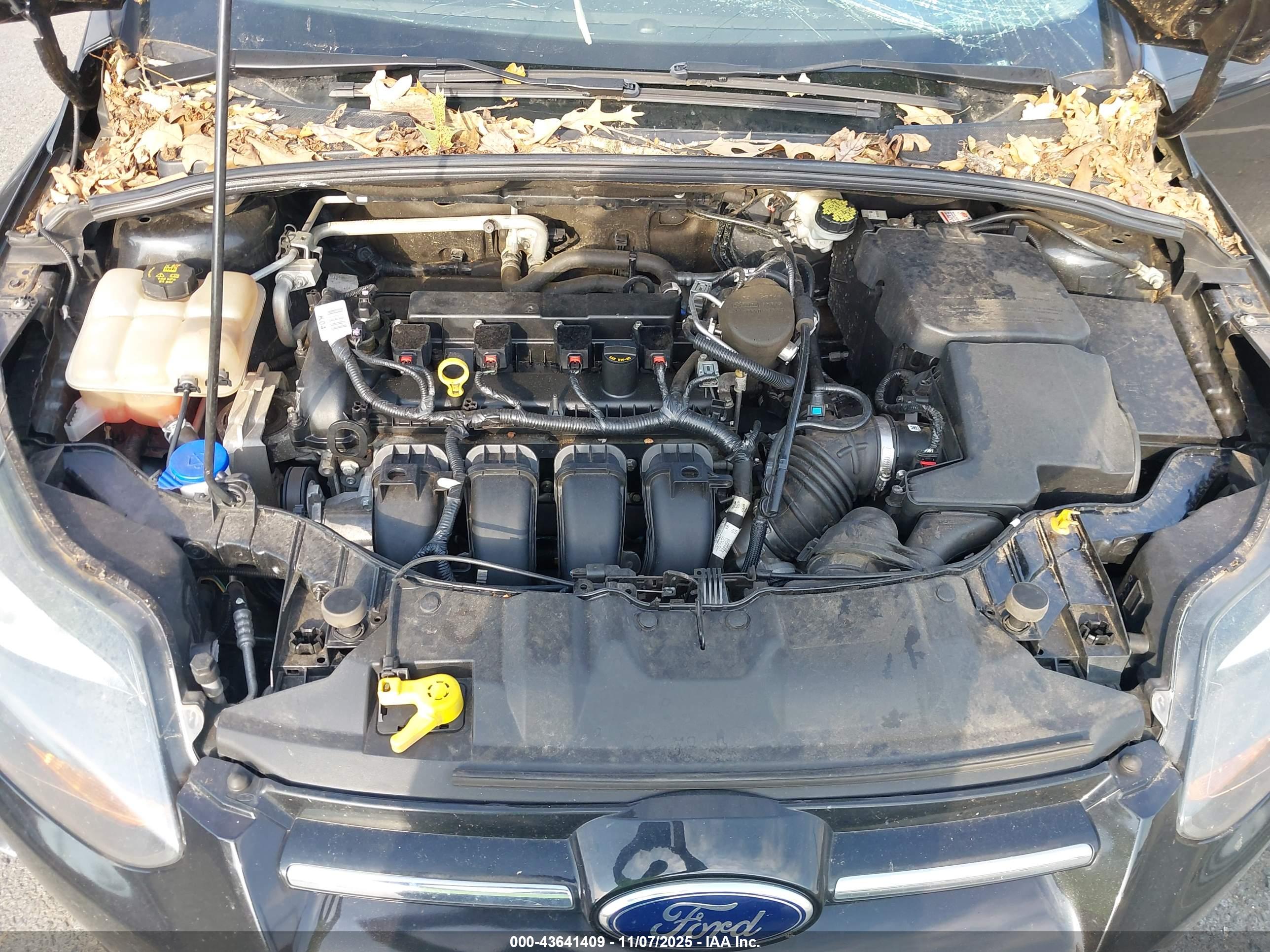 FORD FOCUS image 10
