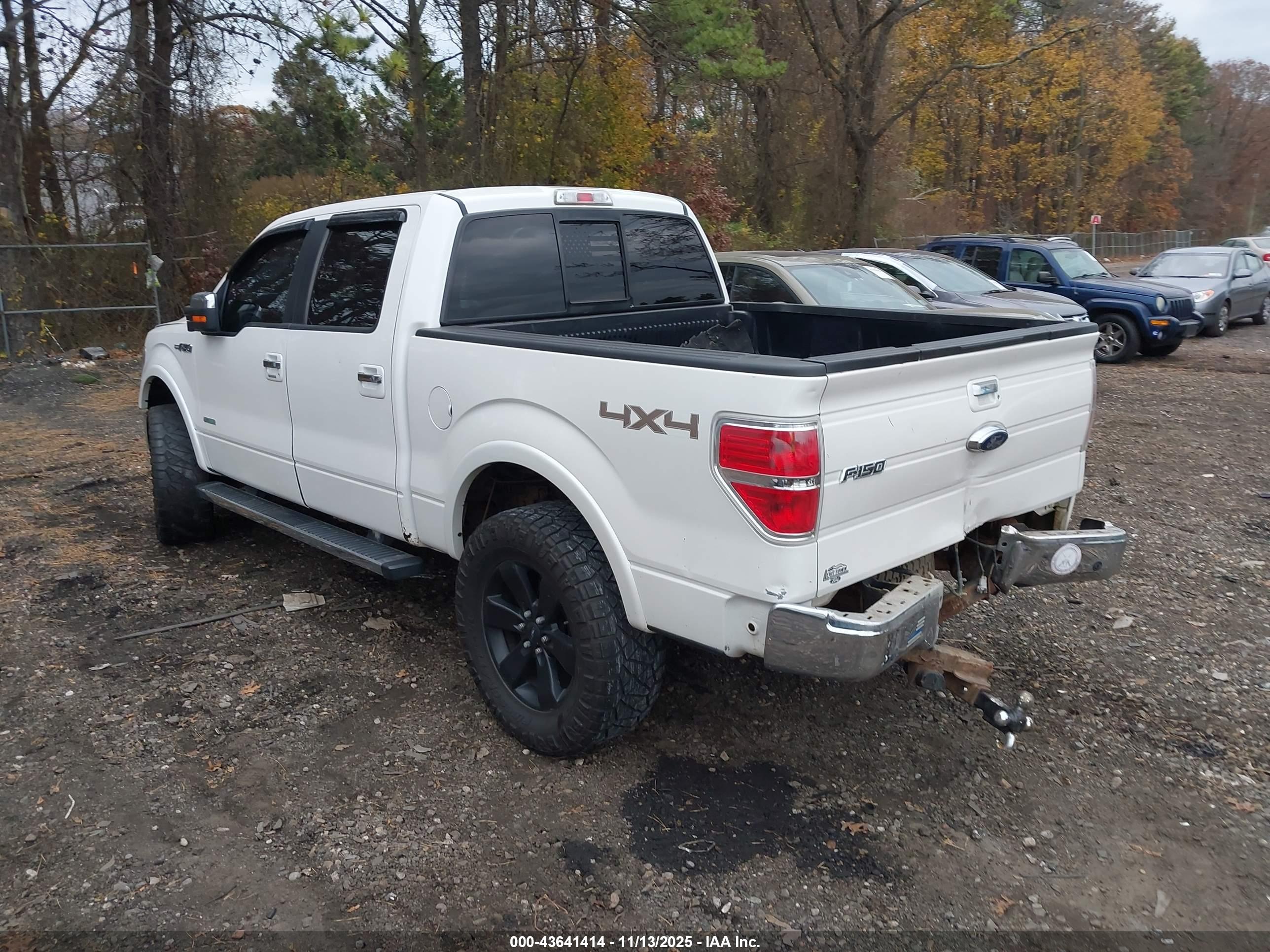 FORD F-150 image 3