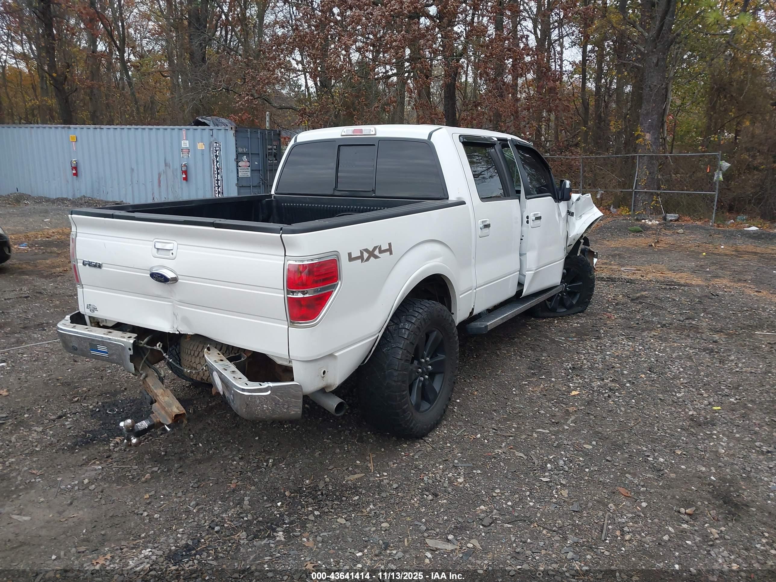 FORD F-150 image 4