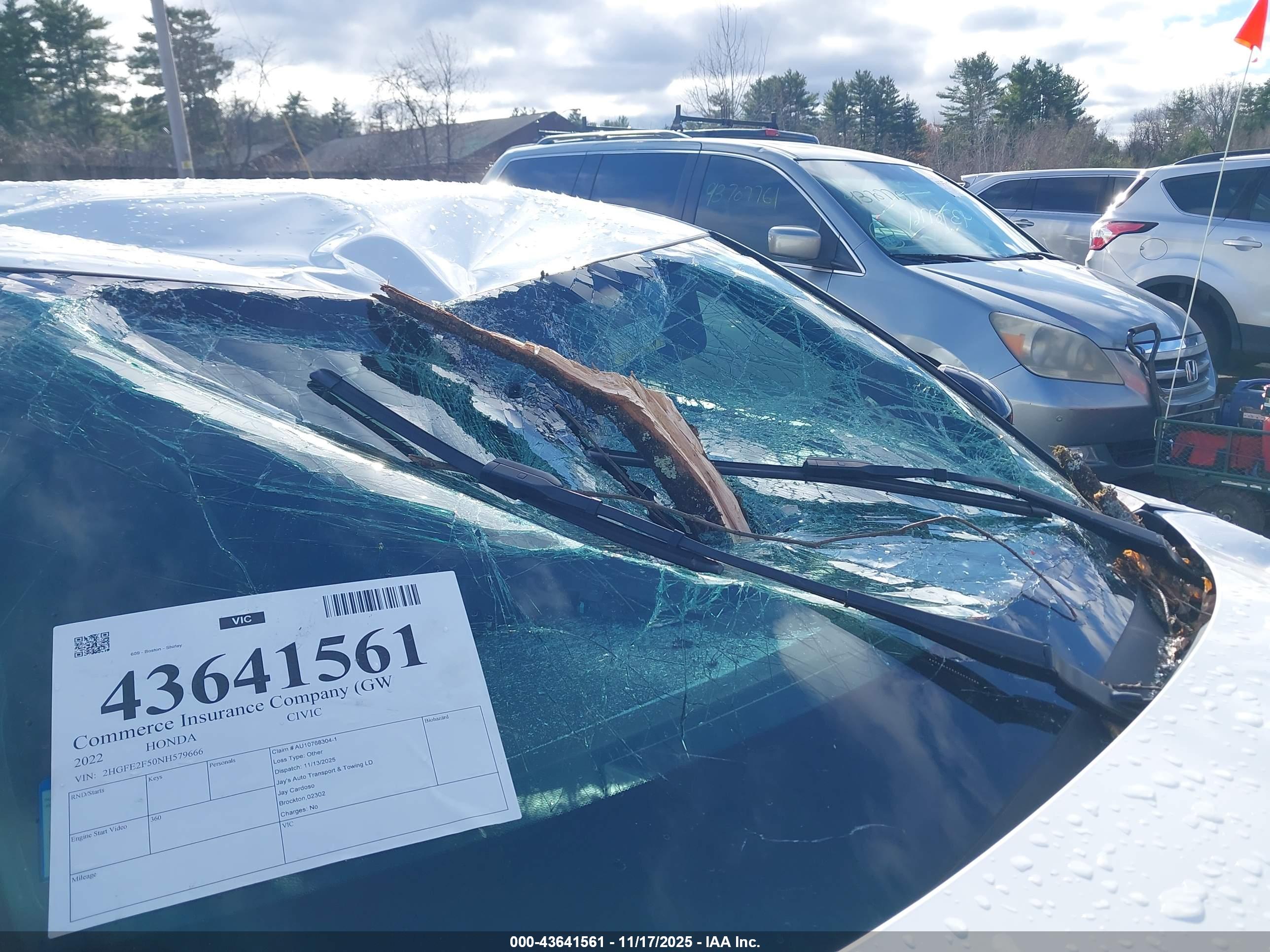 HONDA CIVIC image 6
