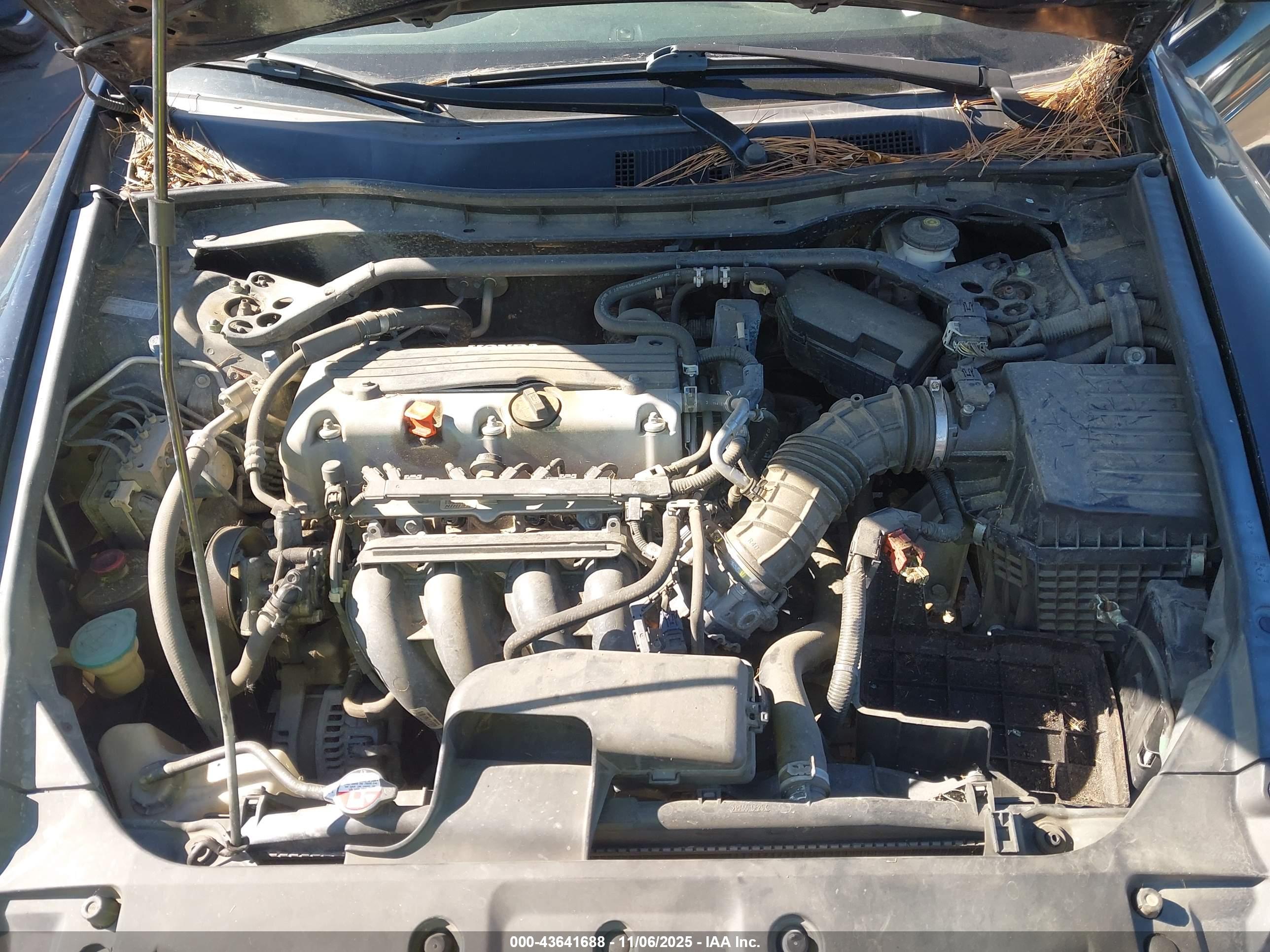 HONDA ACCORD image 10