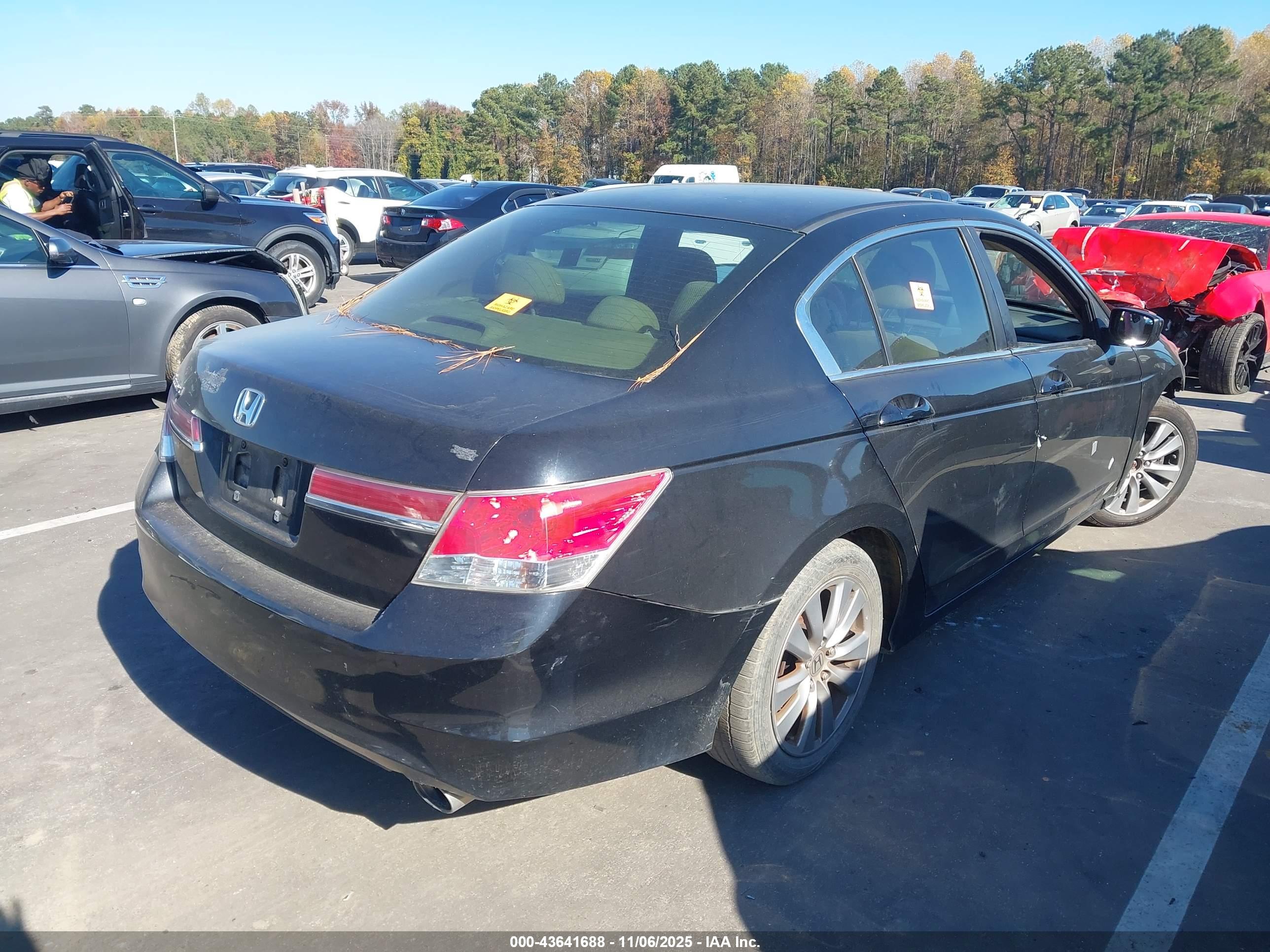 HONDA ACCORD image 4