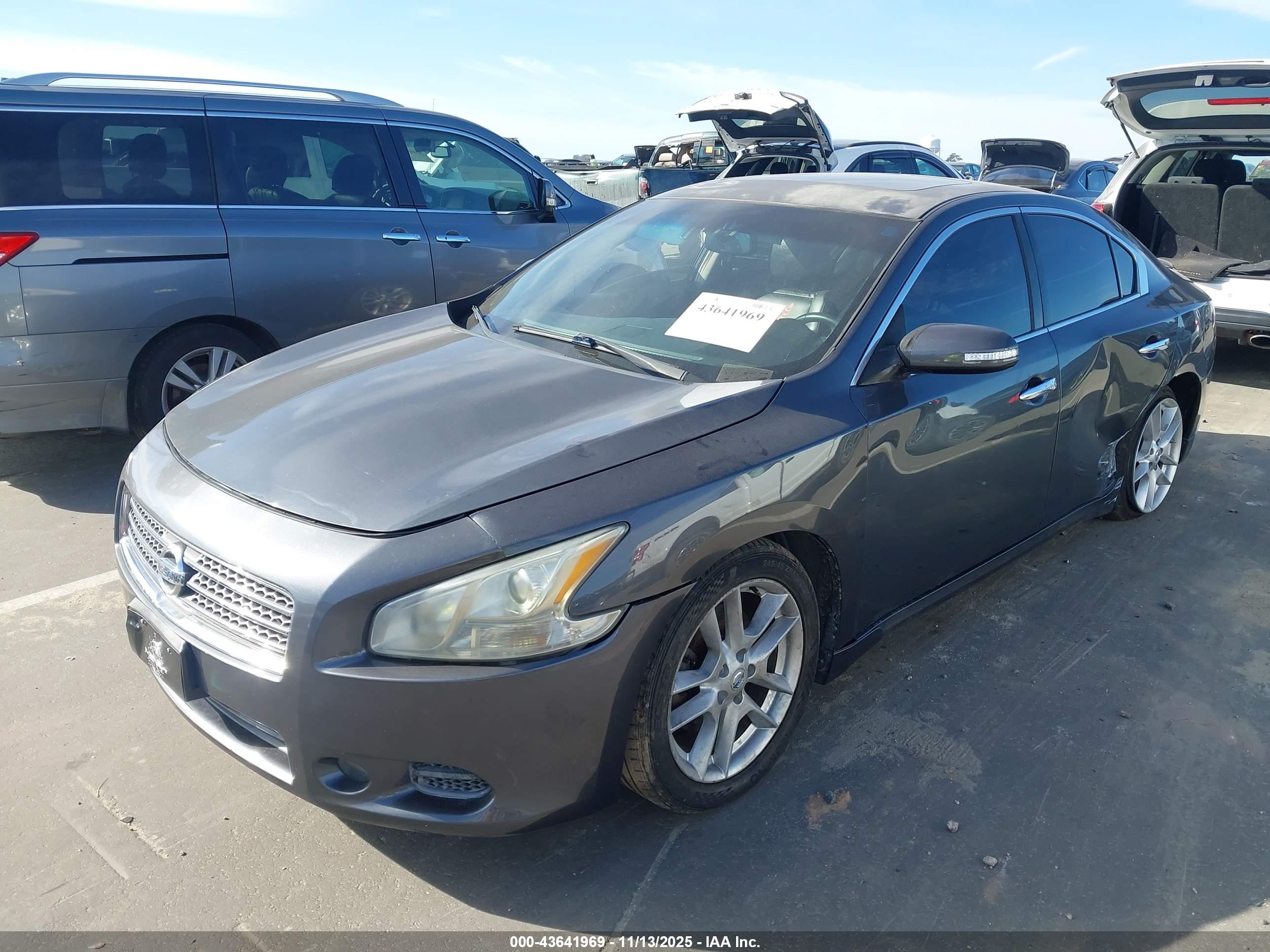 NISSAN MAXIMA image 2