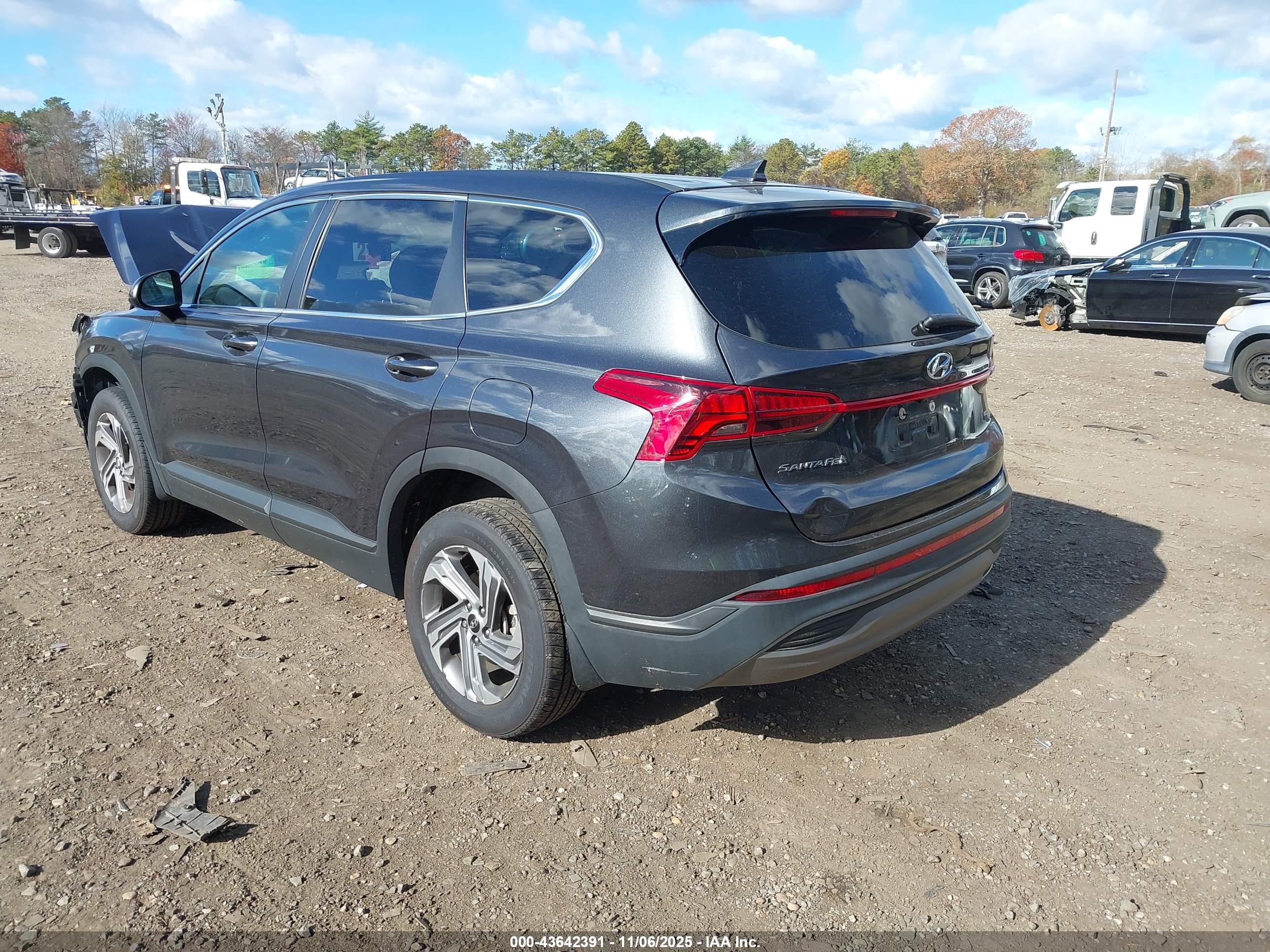 HYUNDAI SANTA image 3