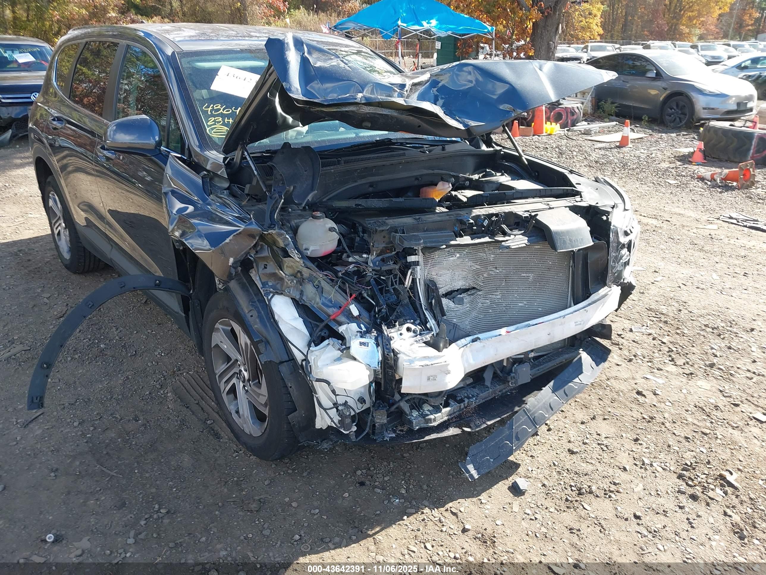 HYUNDAI SANTA image 6