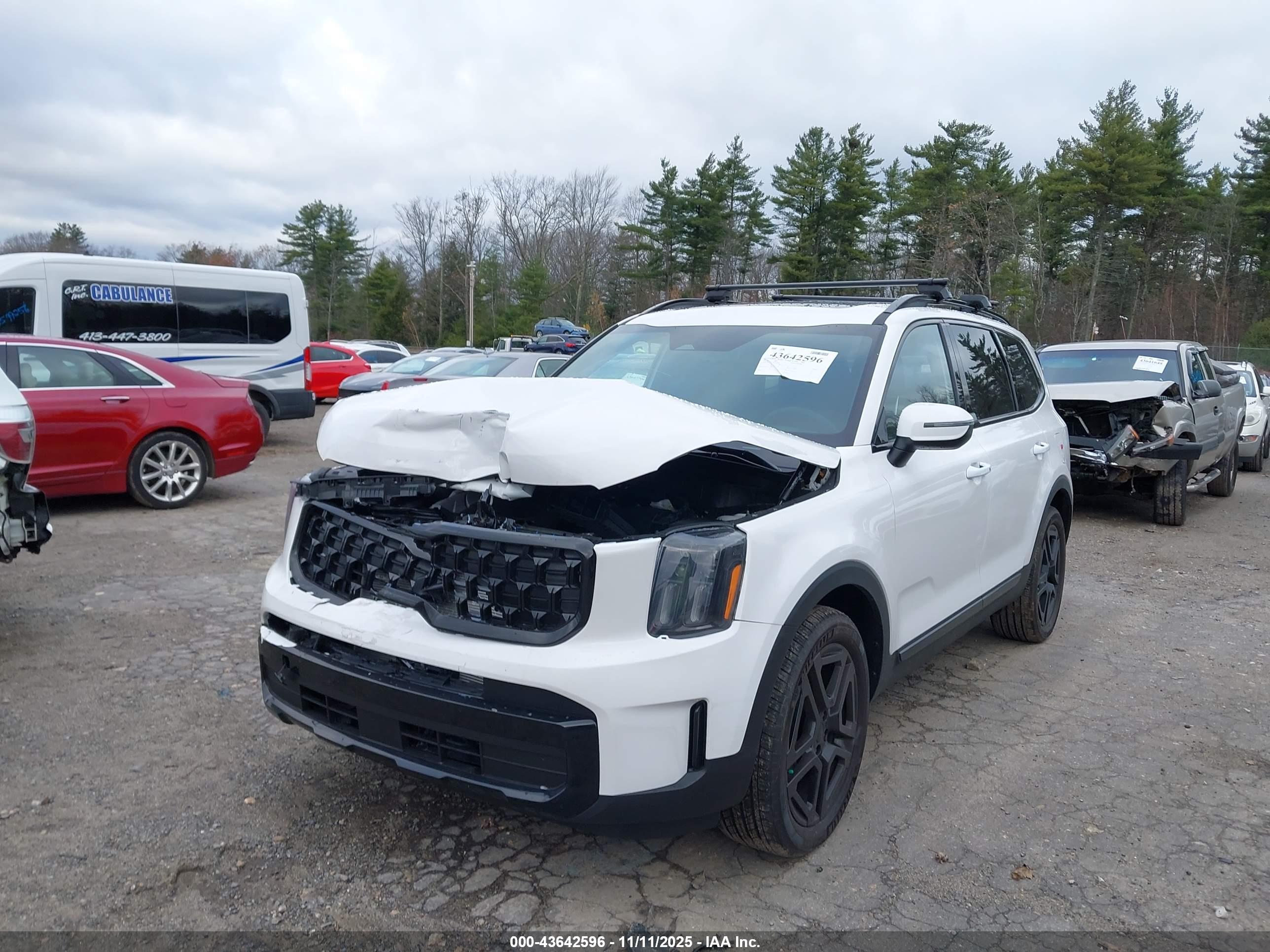 KIA TELLURIDE image 2