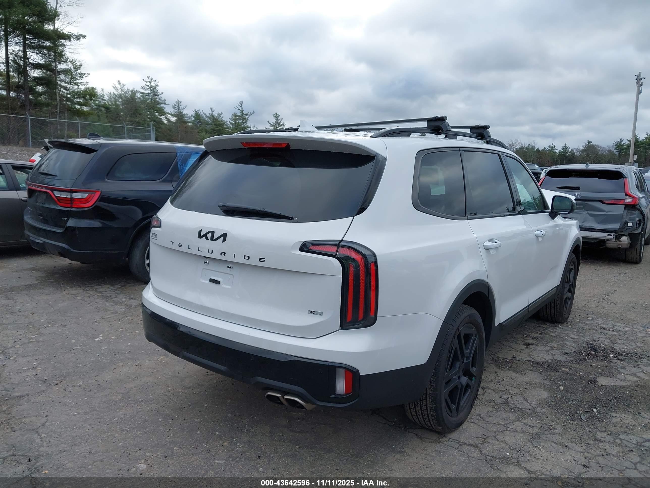 KIA TELLURIDE image 4