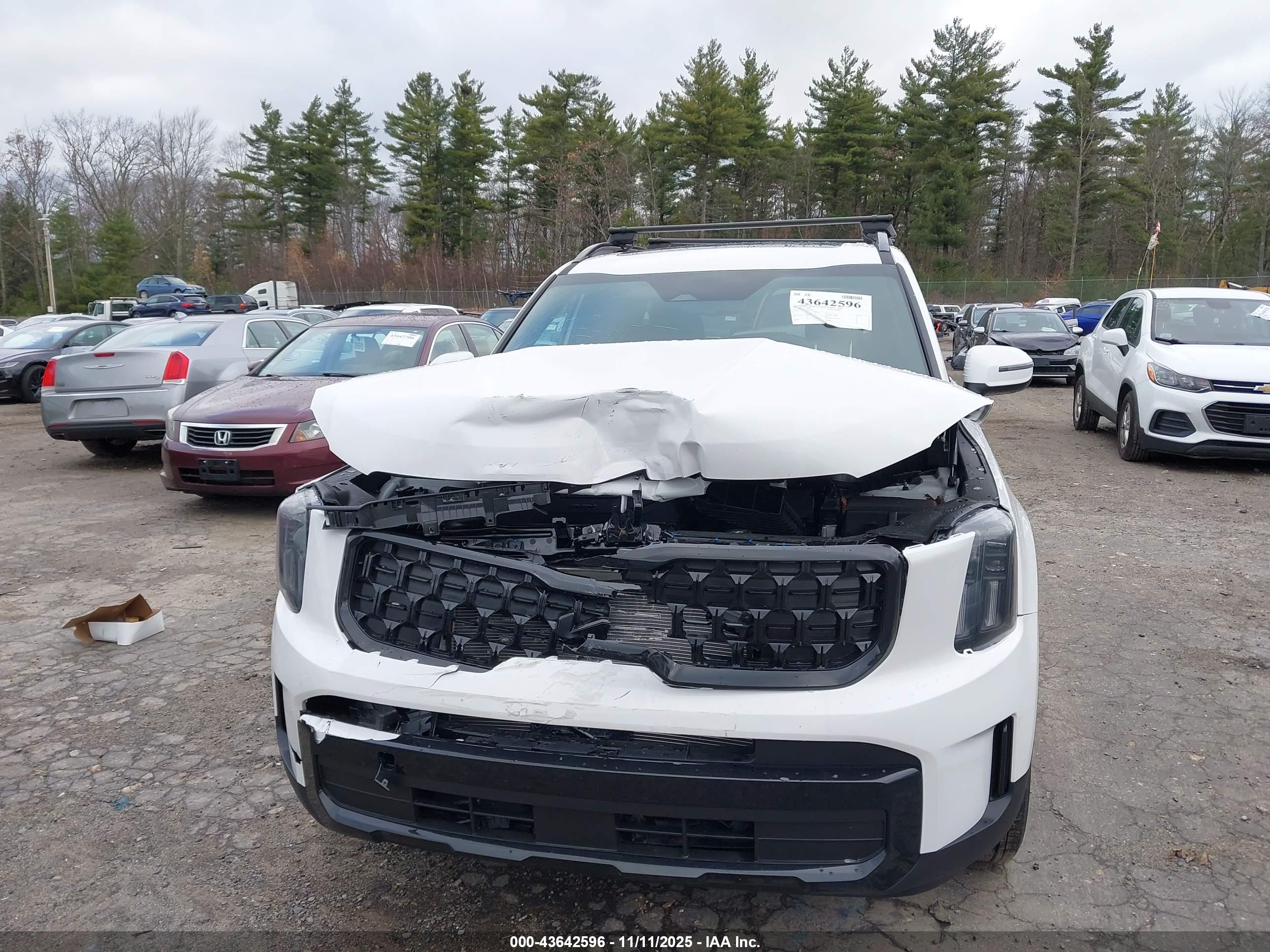 KIA TELLURIDE image 6