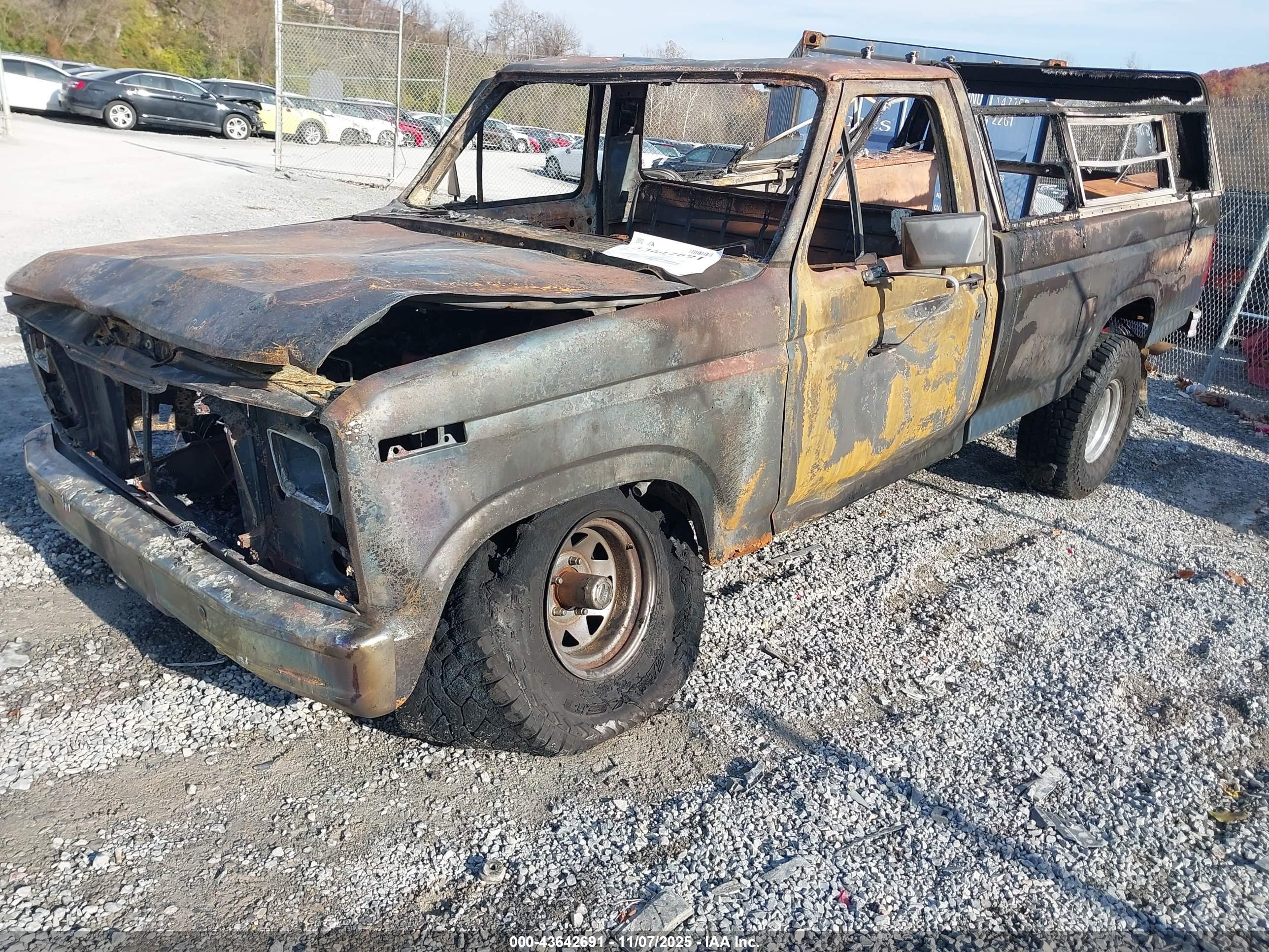 FORD F150 image 2