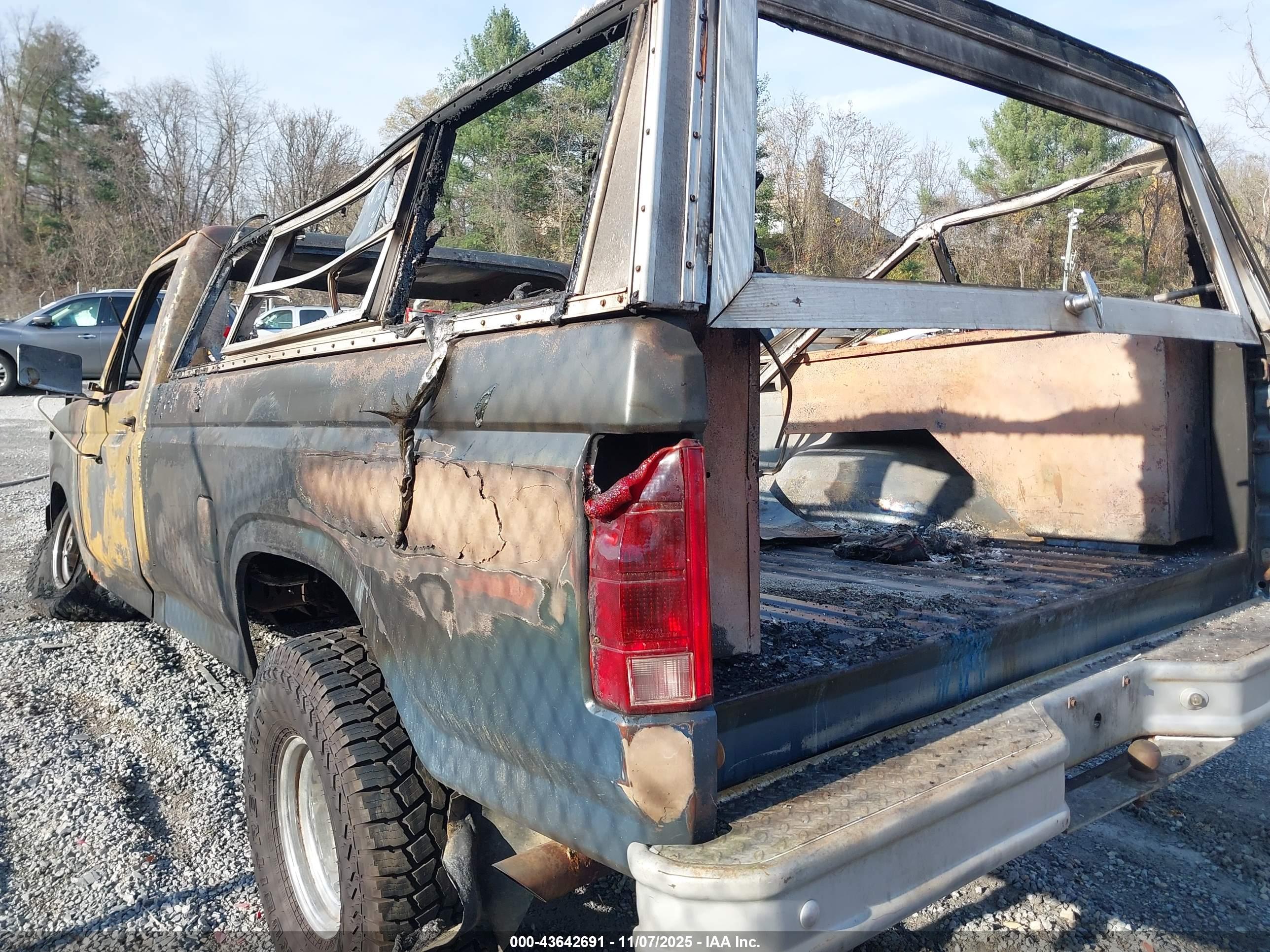 FORD F150 image 3