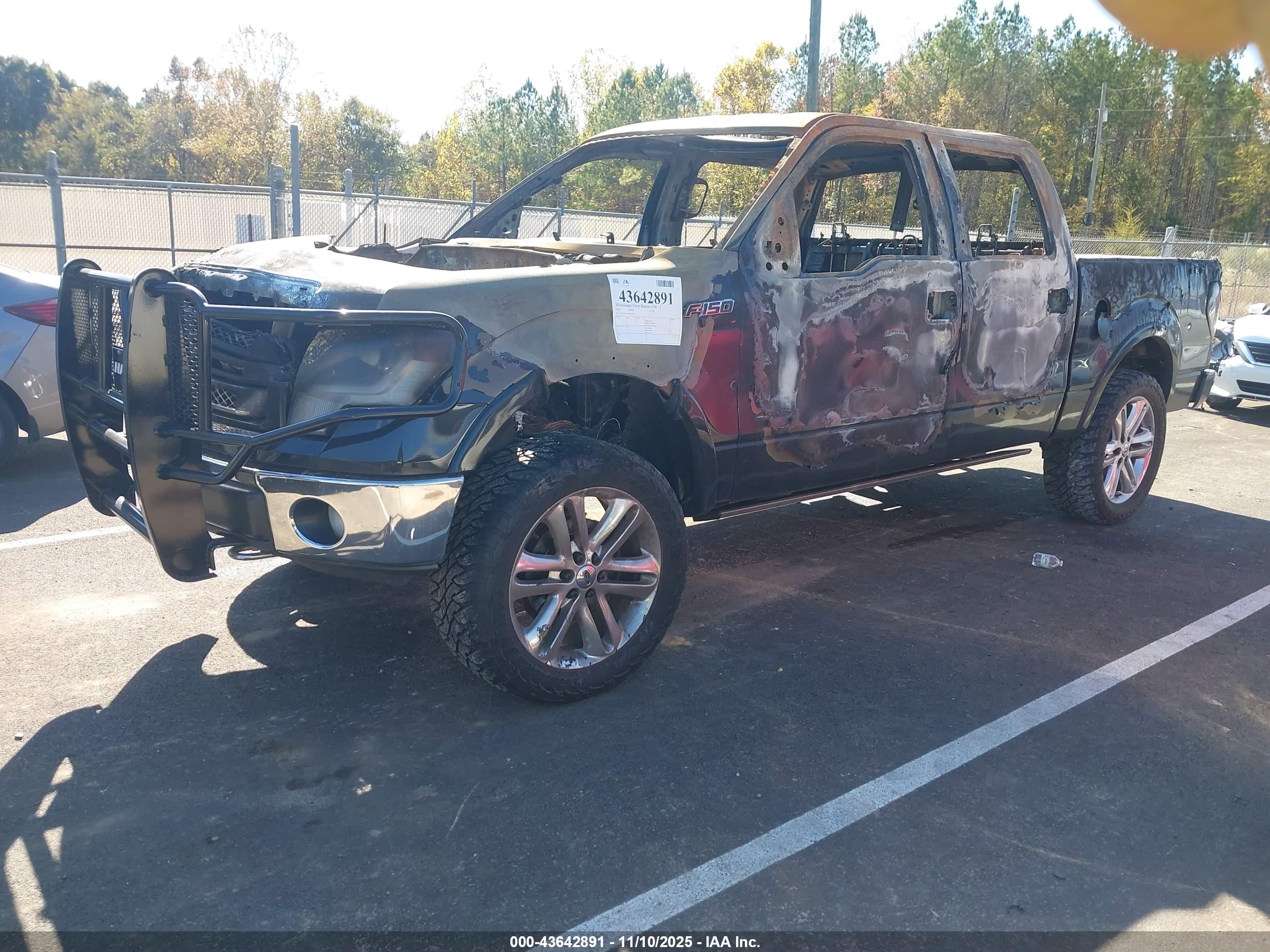 FORD F-150 image 2