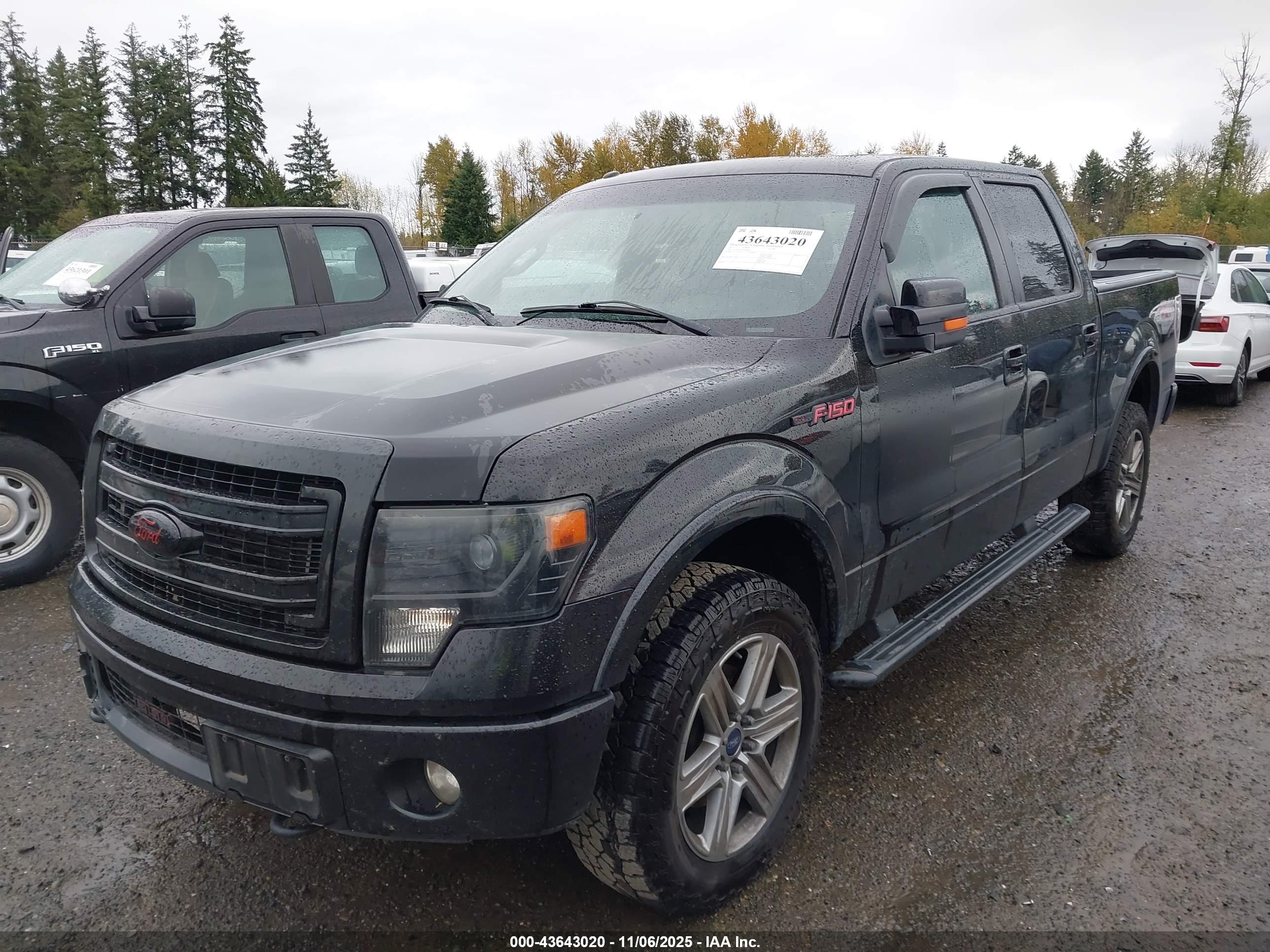 FORD F-150 image 2