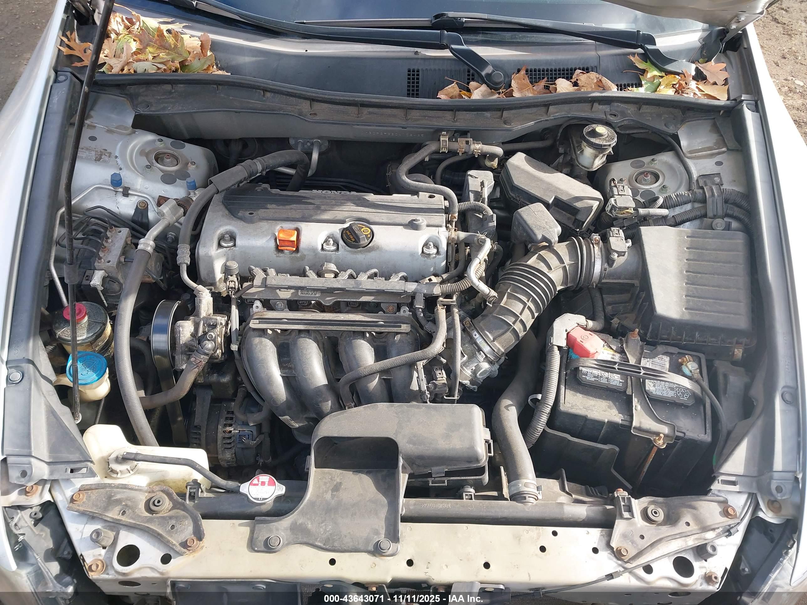 HONDA ACCORD image 10