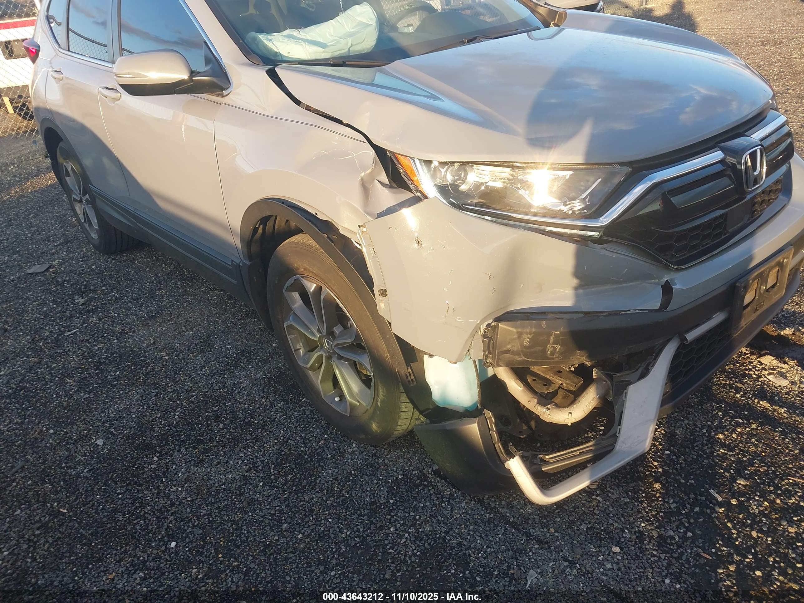 HONDA CR-V image 6