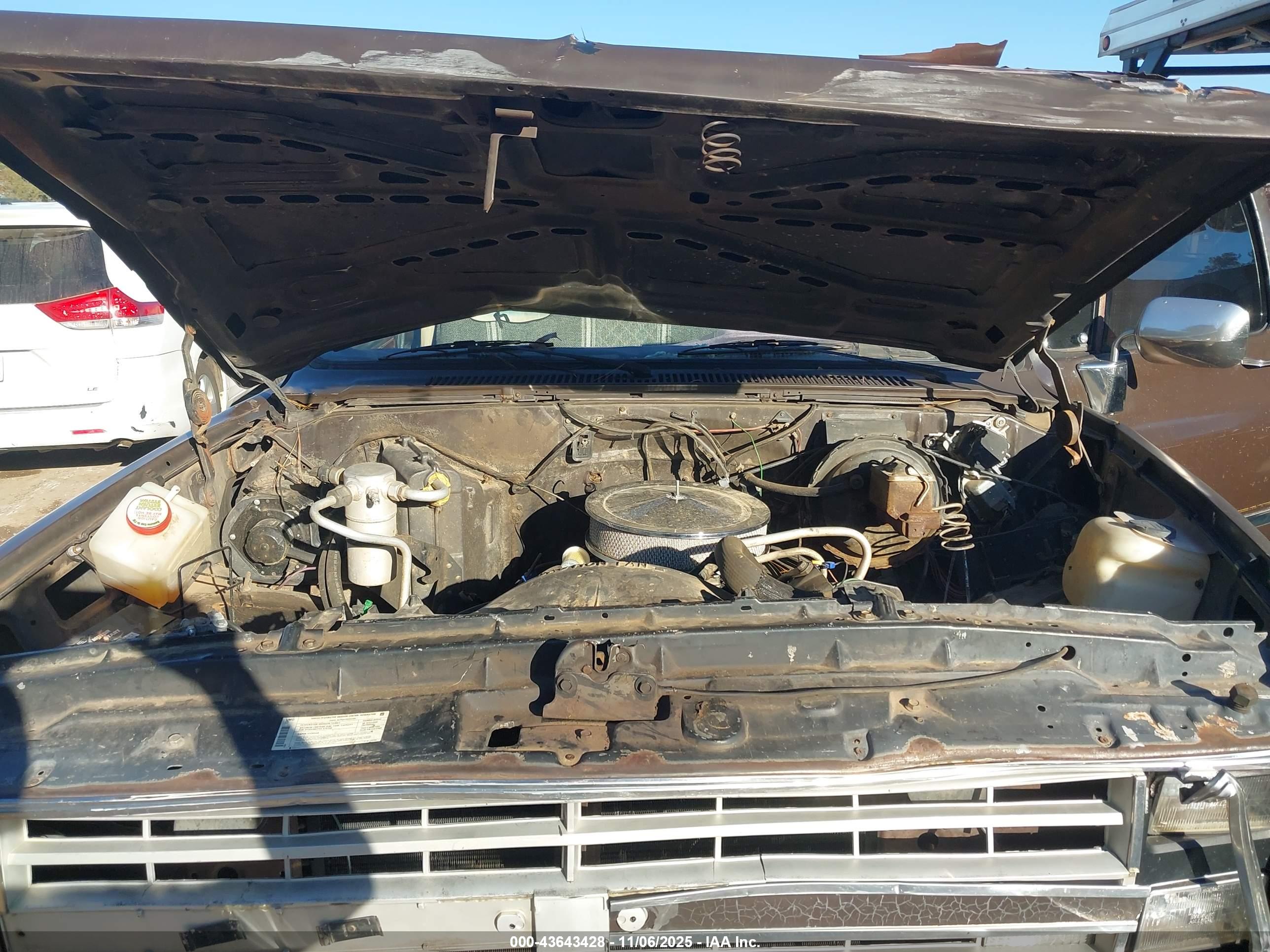 CHEVROLET C20 image 10