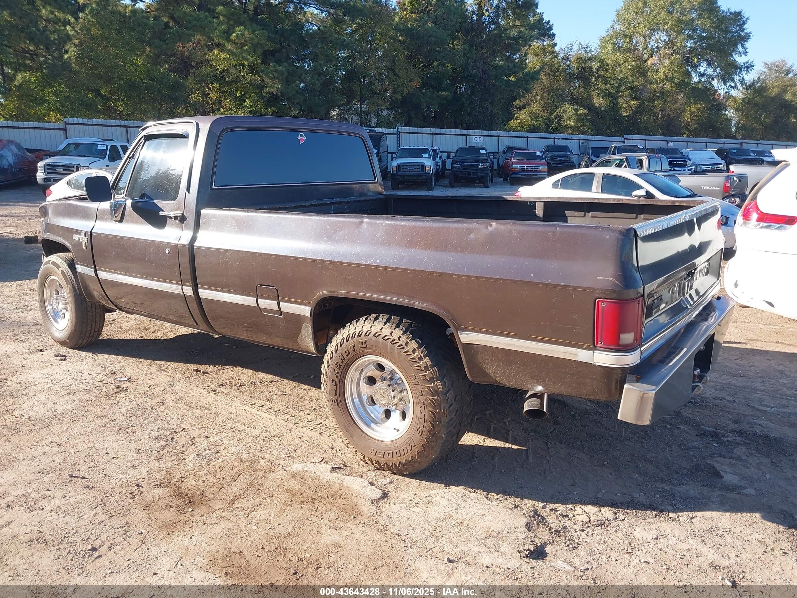 CHEVROLET C20 image 3