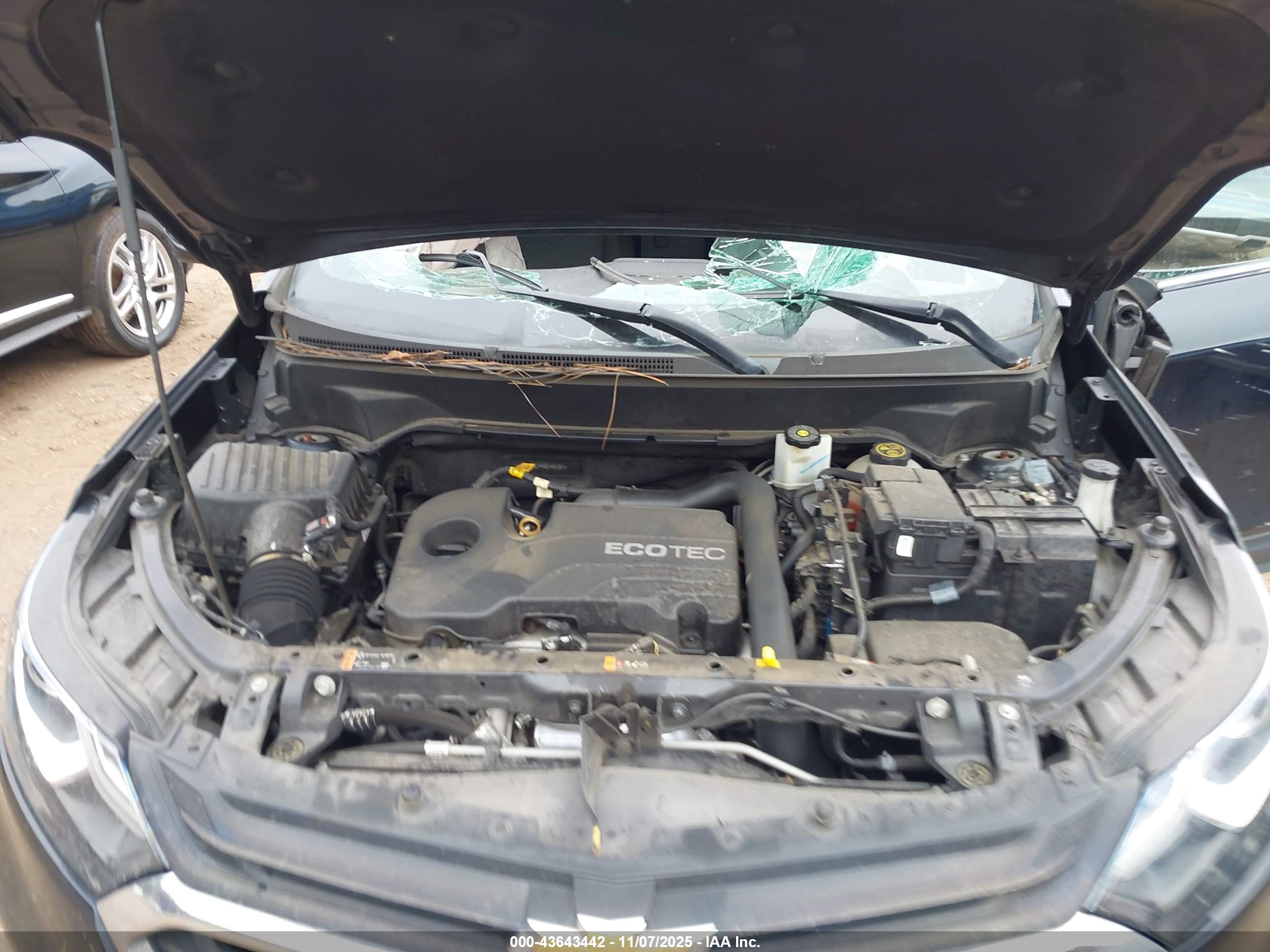 CHEVROLET EQUINOX image 10