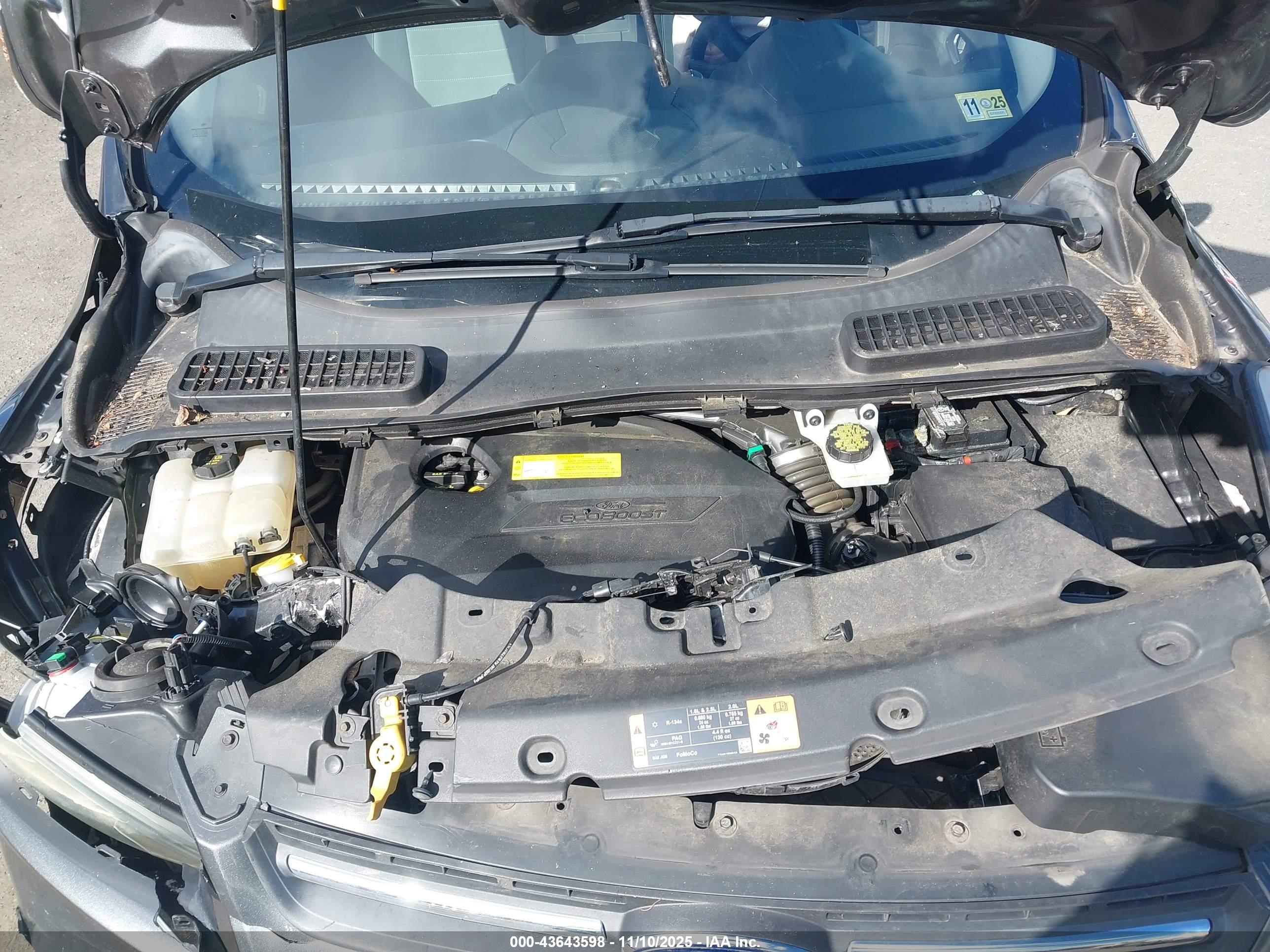 FORD ESCAPE image 10