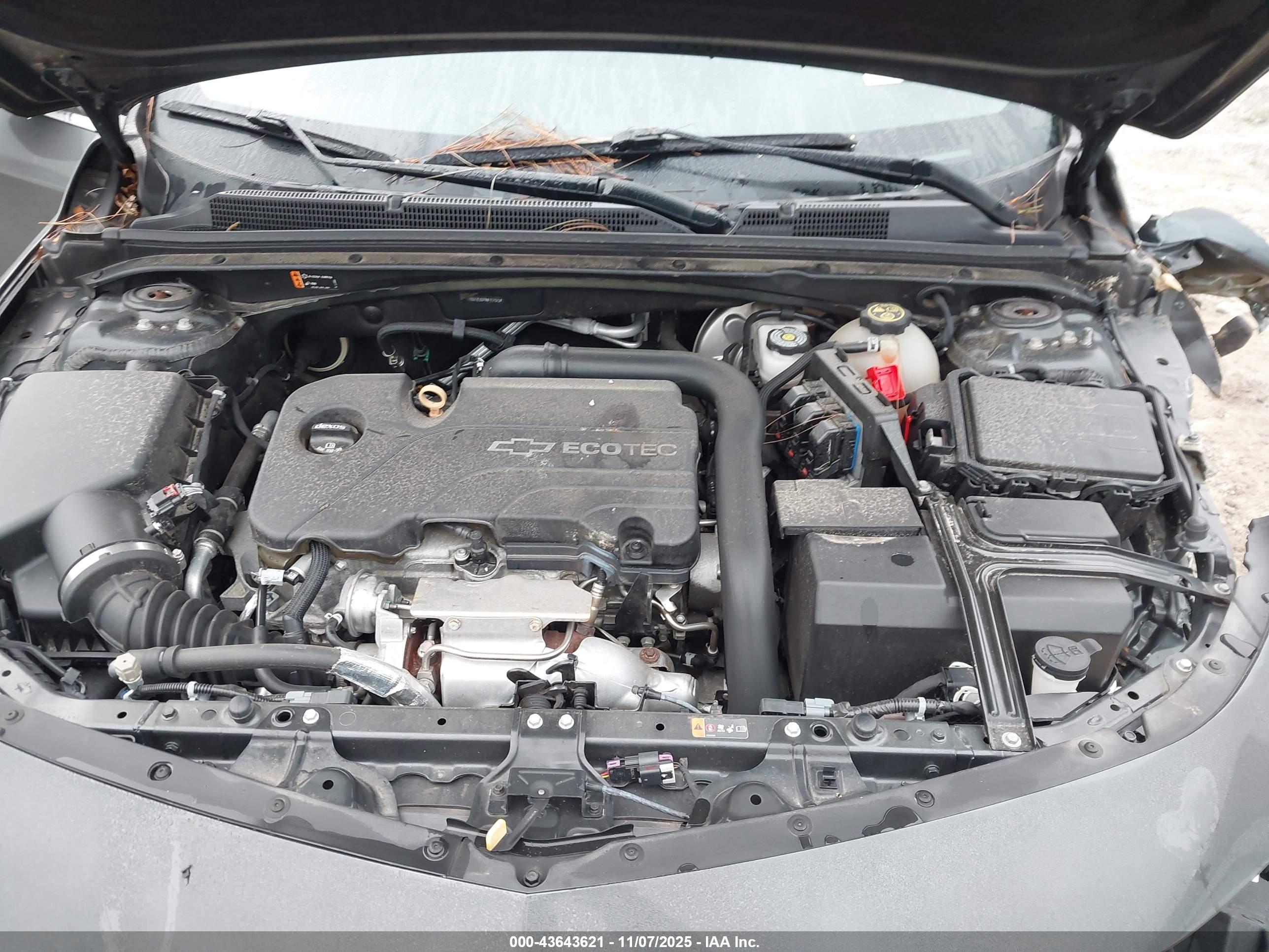 CHEVROLET MALIBU image 10