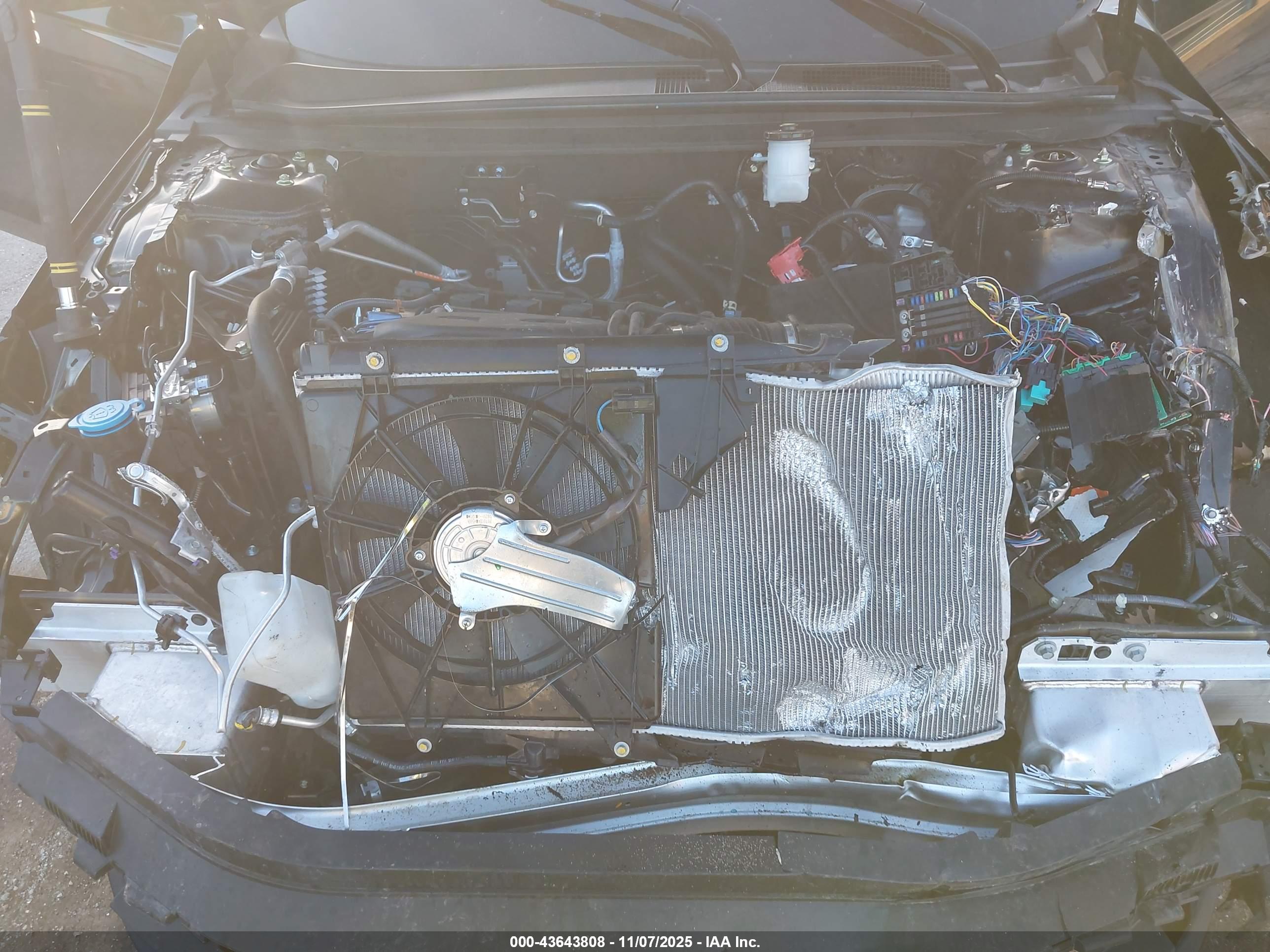 HONDA ACCORD image 10
