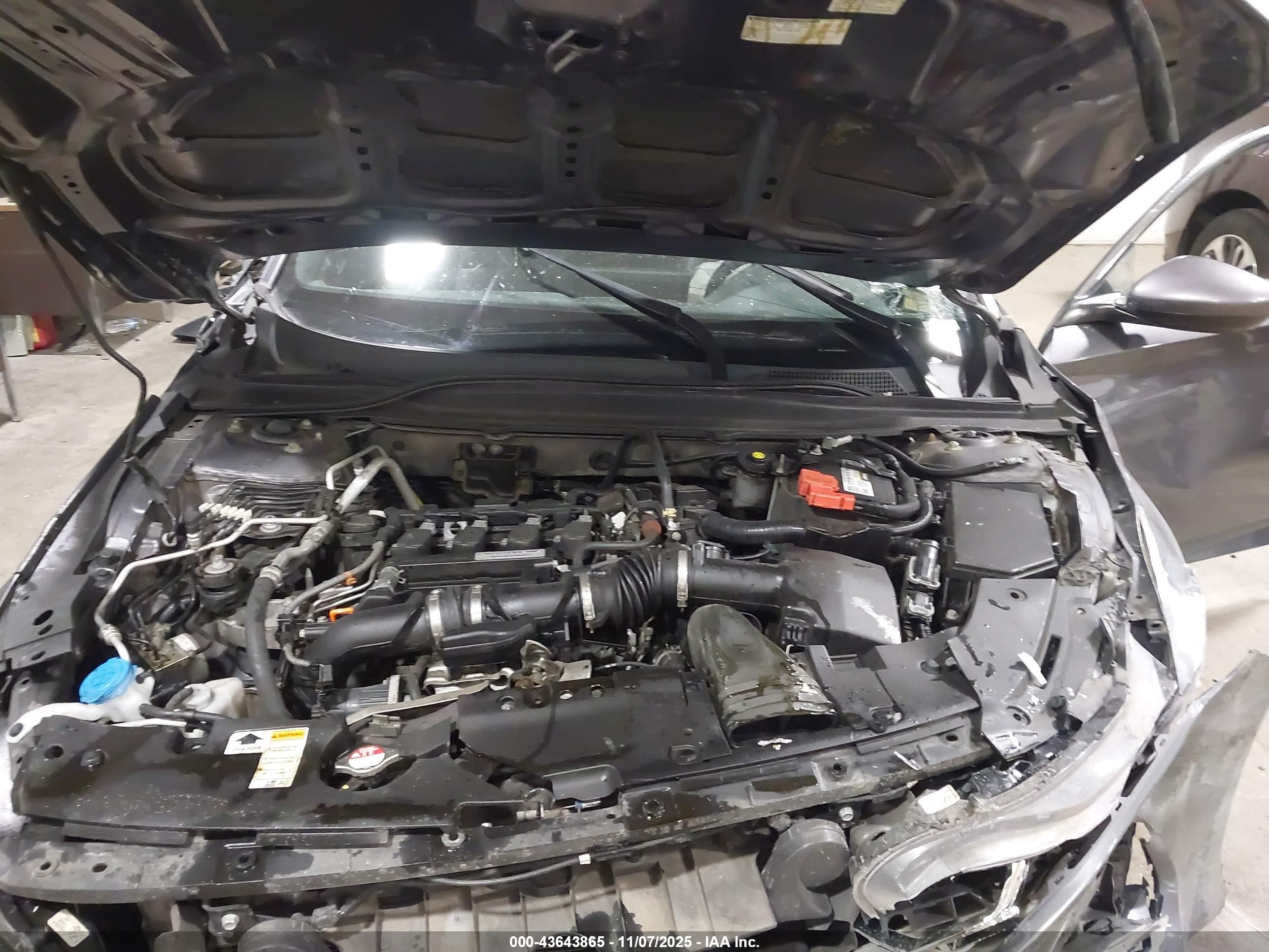 HONDA ACCORD image 10