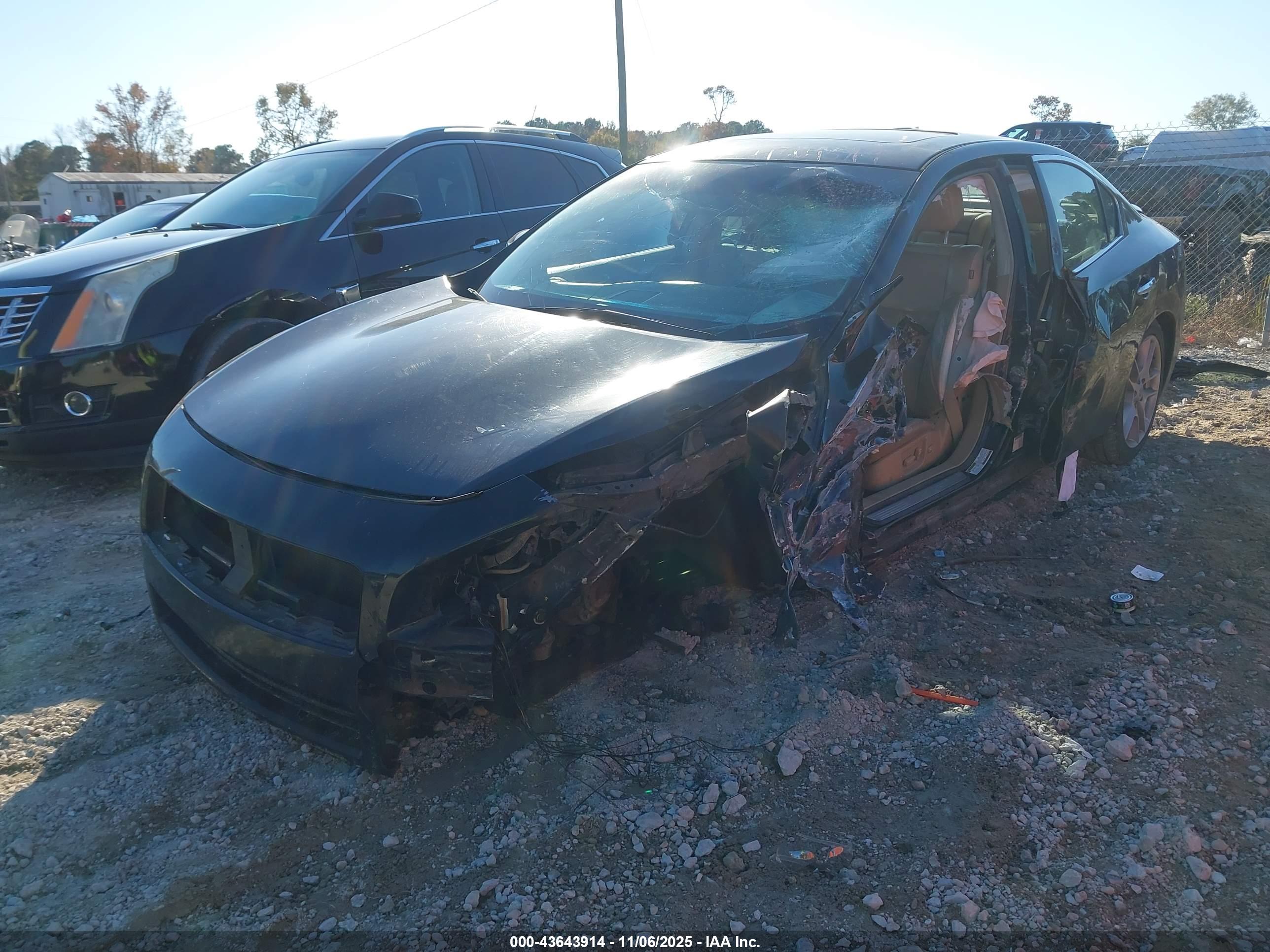 NISSAN MAXIMA image 2