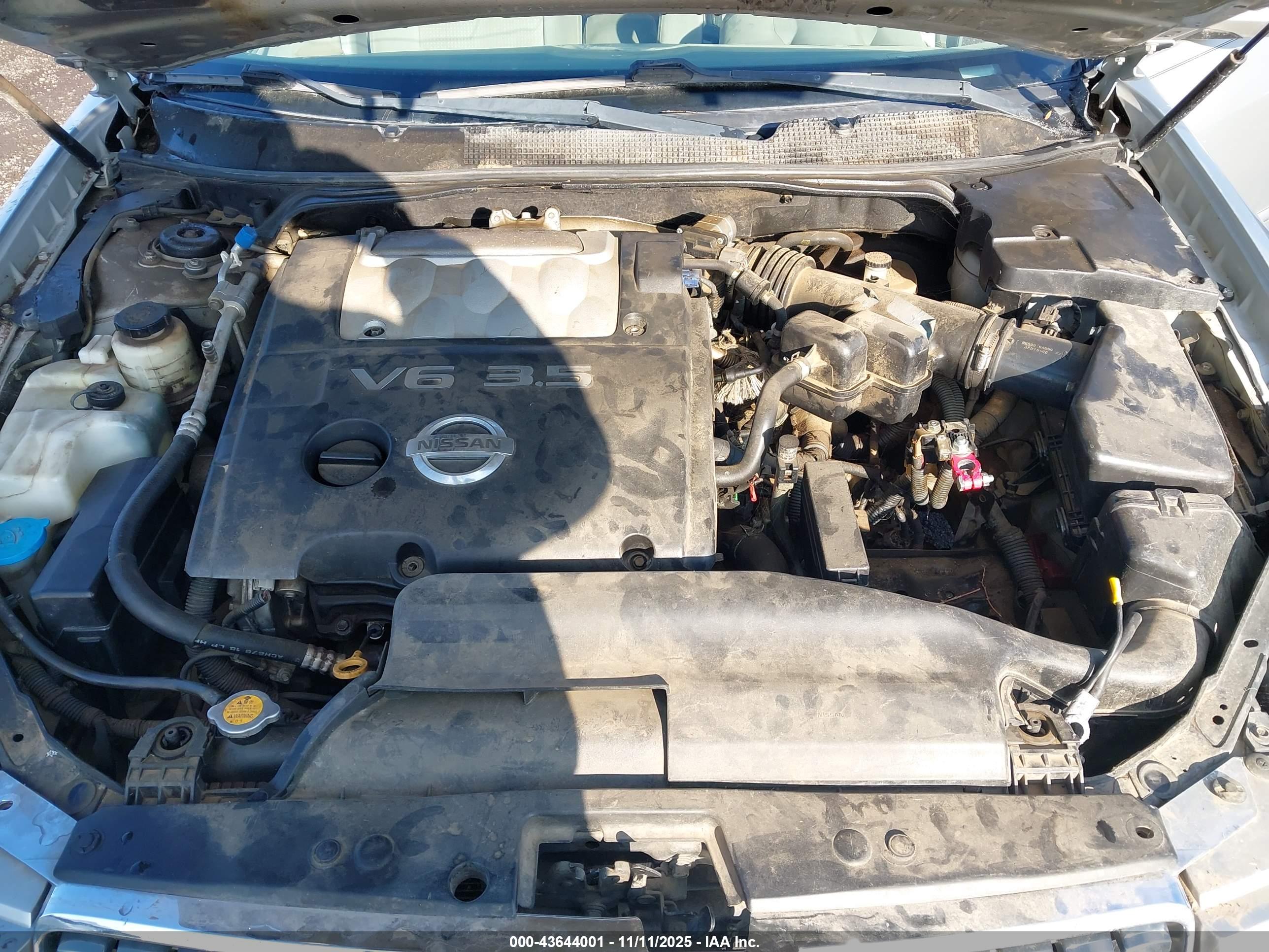 NISSAN MAXIMA image 10