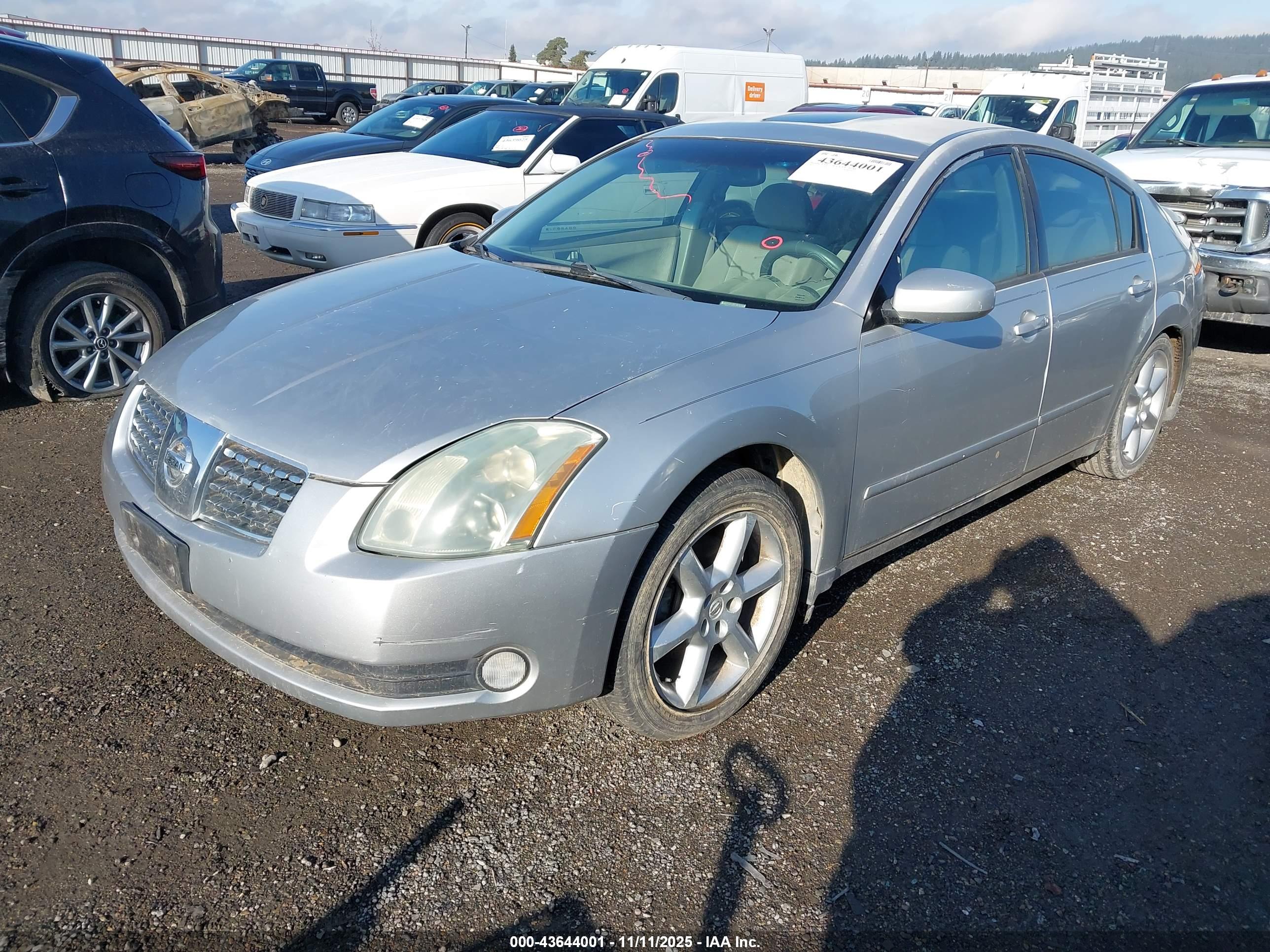 NISSAN MAXIMA image 2