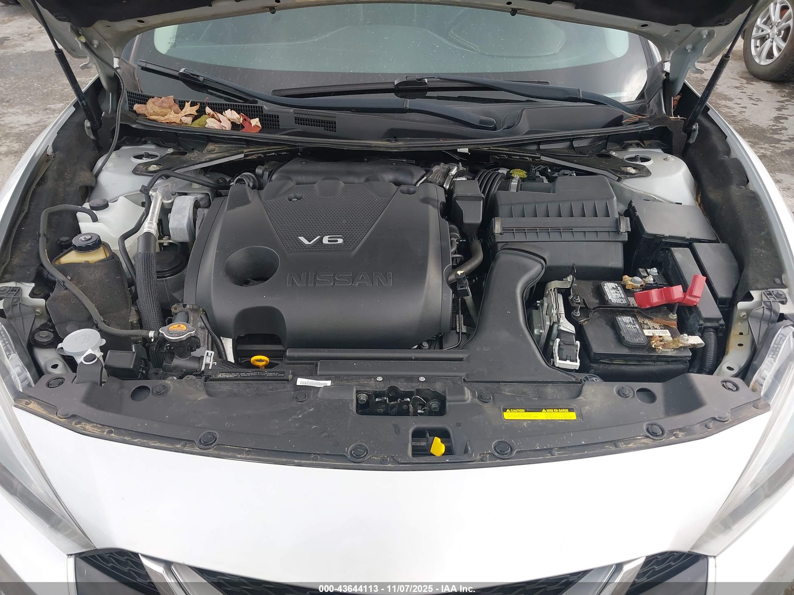 NISSAN MAXIMA image 10