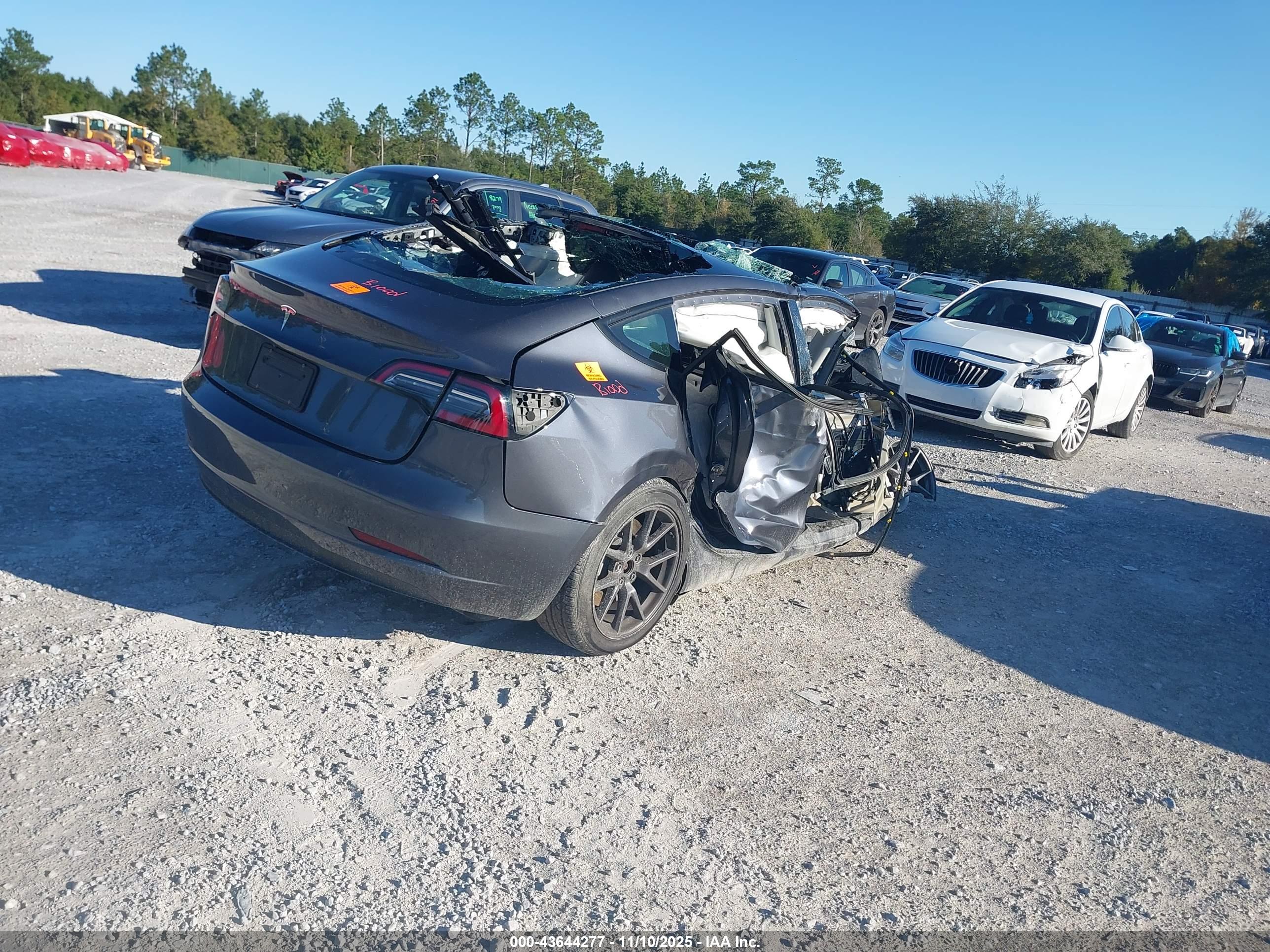 TESLA MODEL image 4