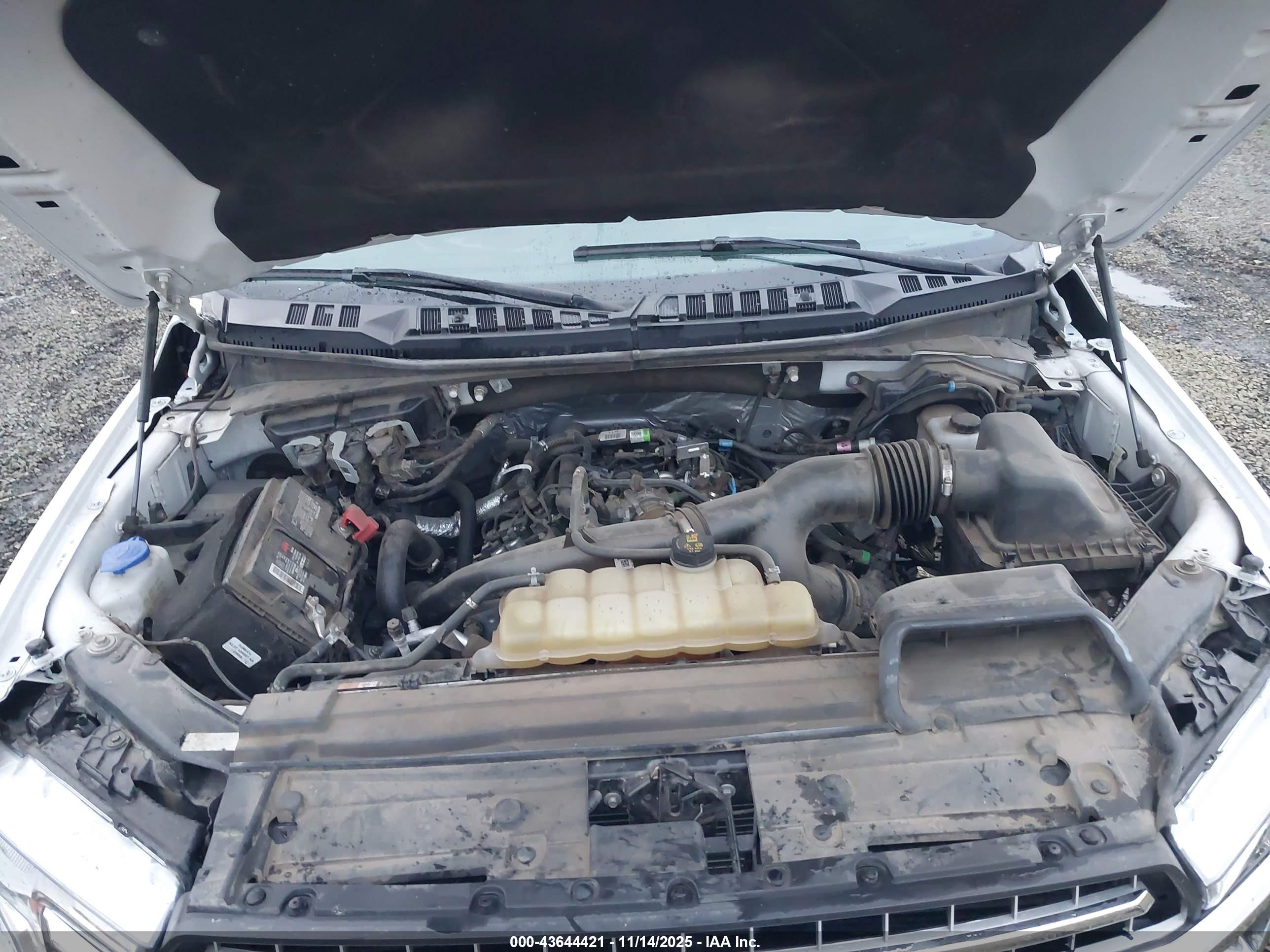 FORD F-150 image 10