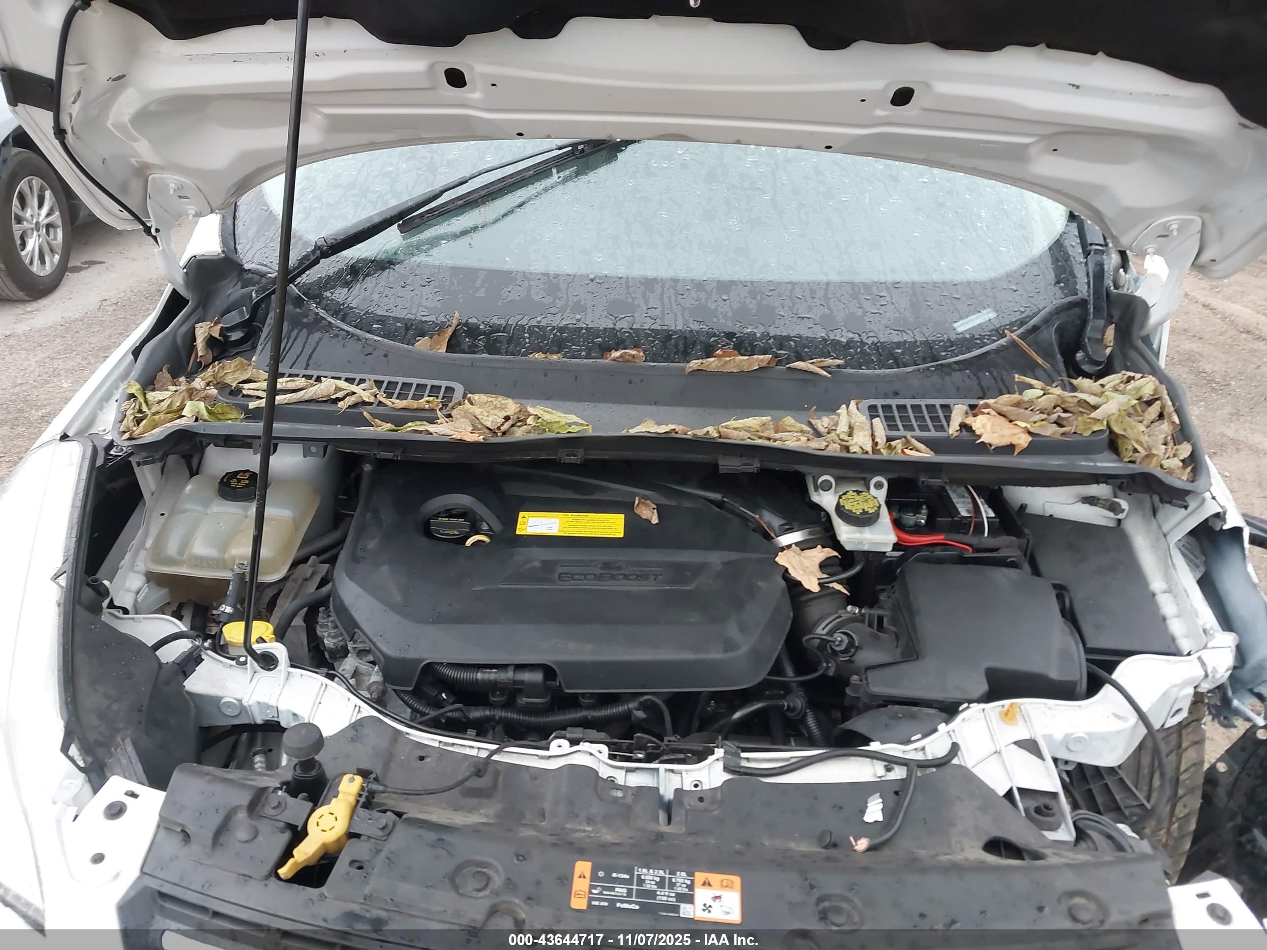 FORD ESCAPE image 10