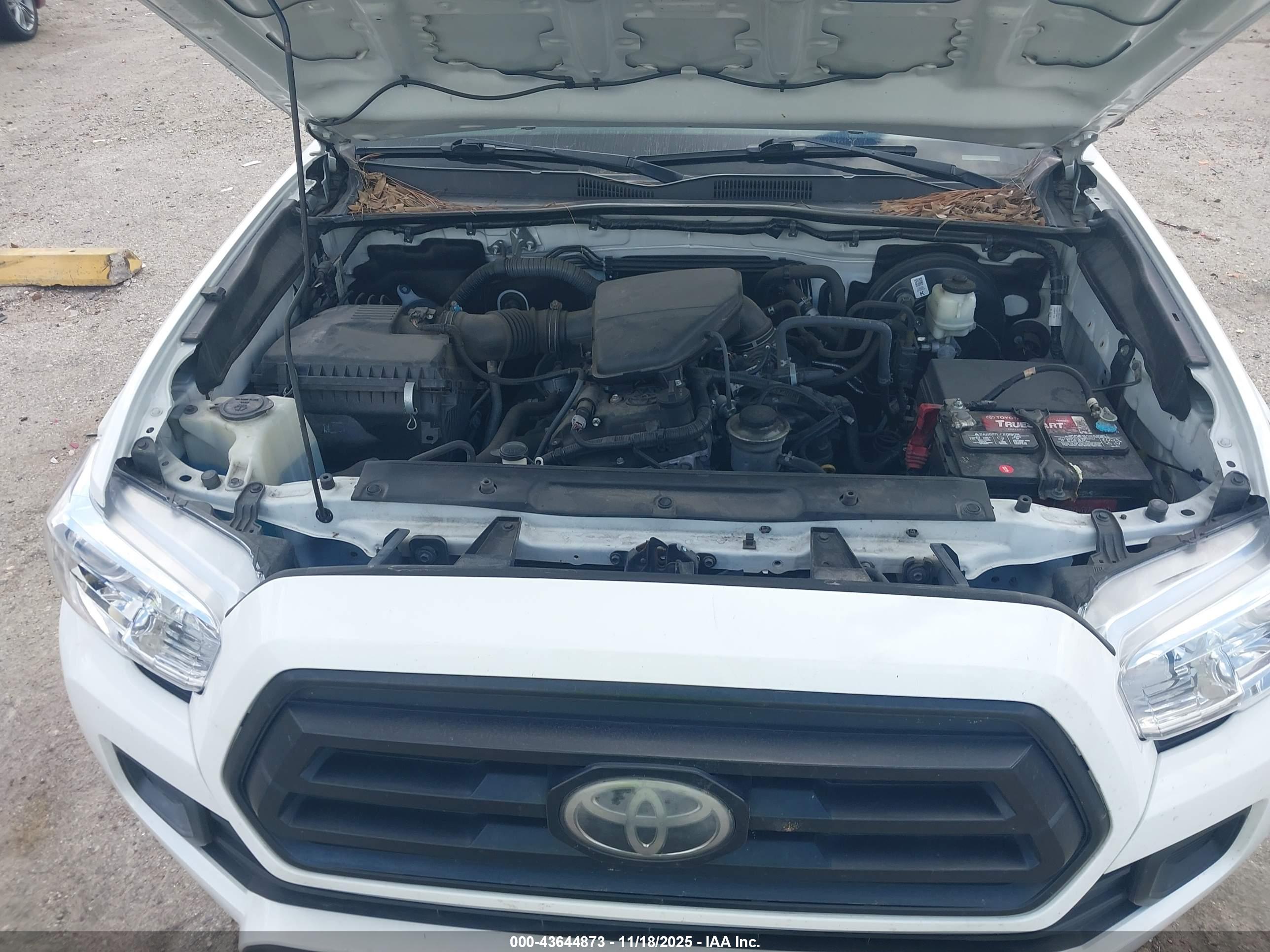 TOYOTA TACOMA image 10