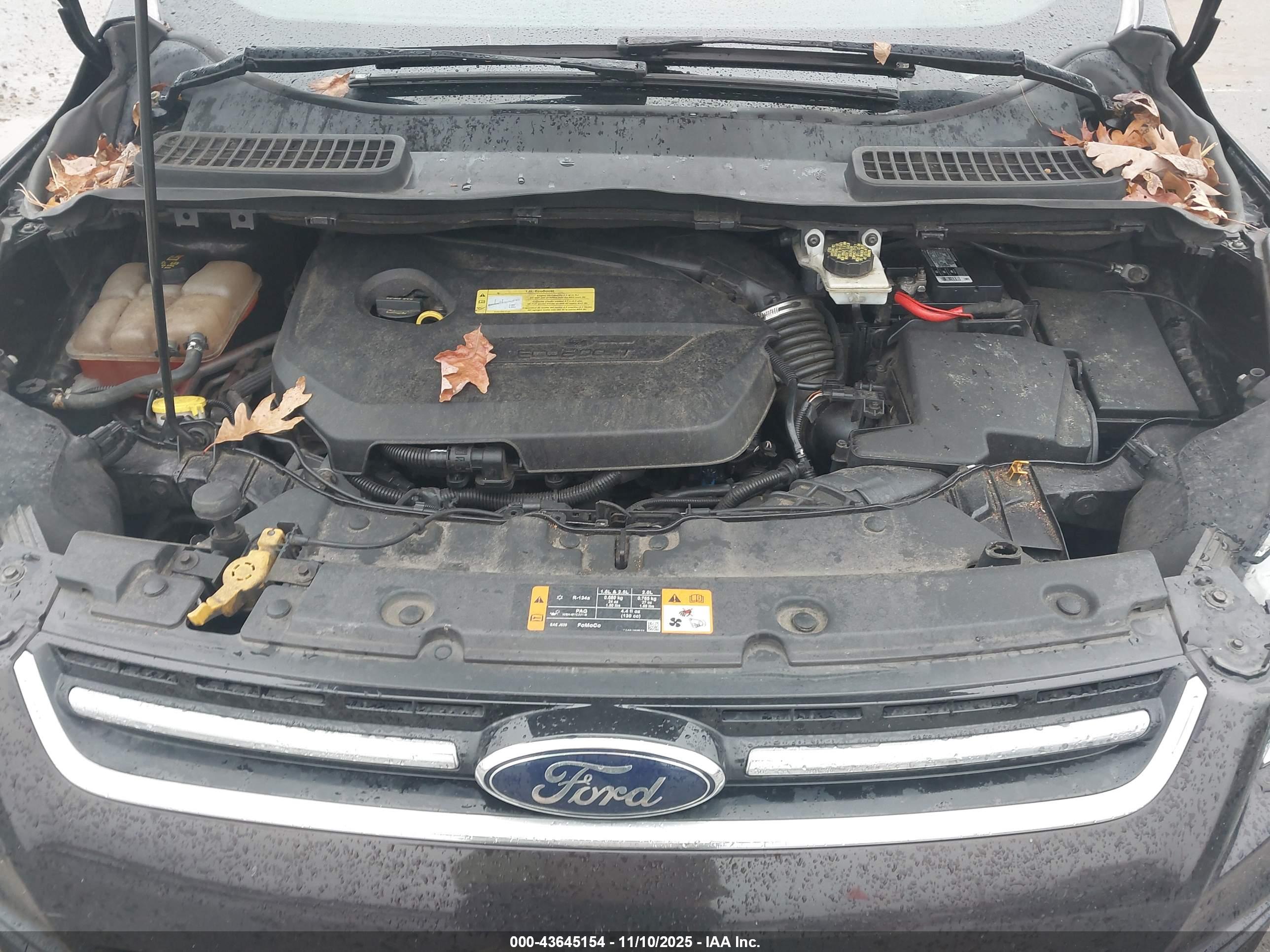 FORD ESCAPE image 10