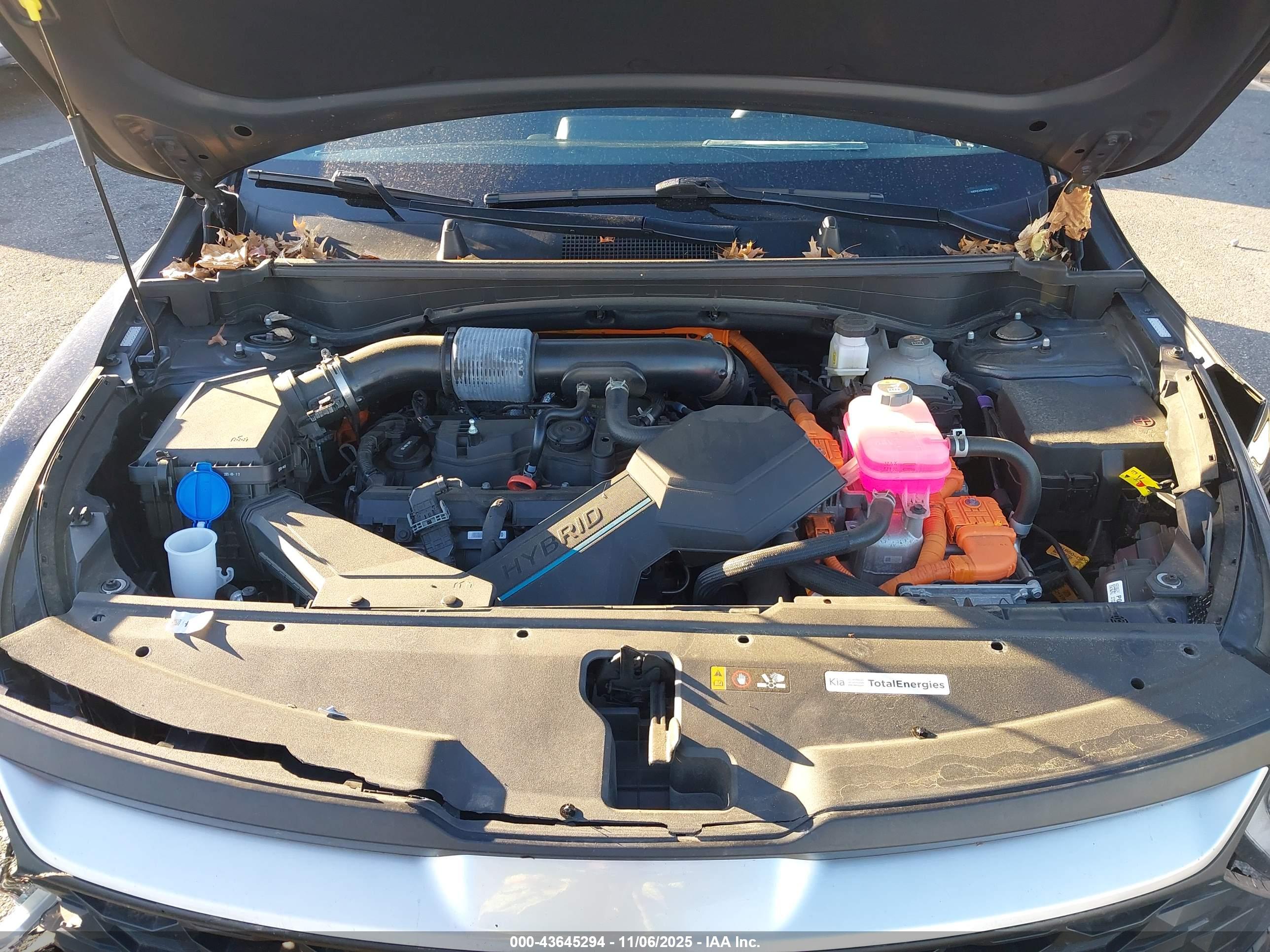 KIA SPORTAGE image 10